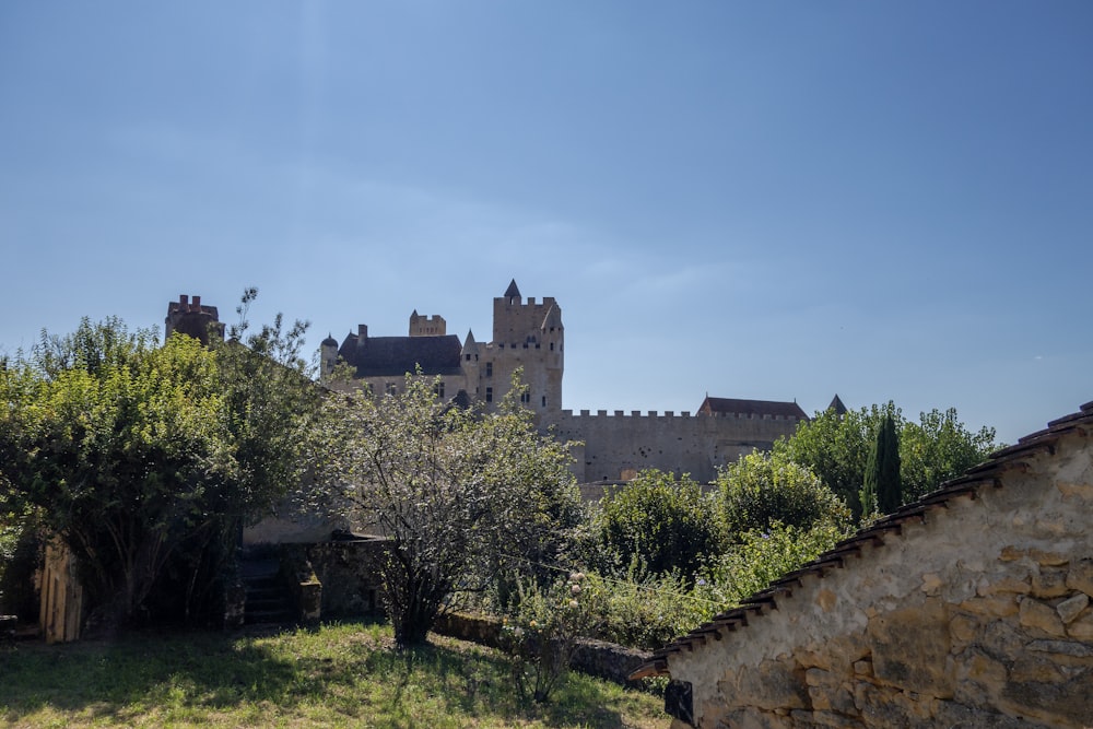 an old castle with a tree in the foreground