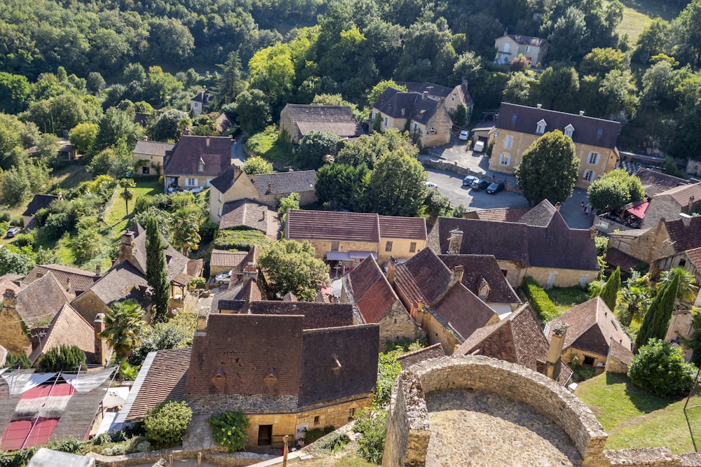 an aerial view of a village in the countryside