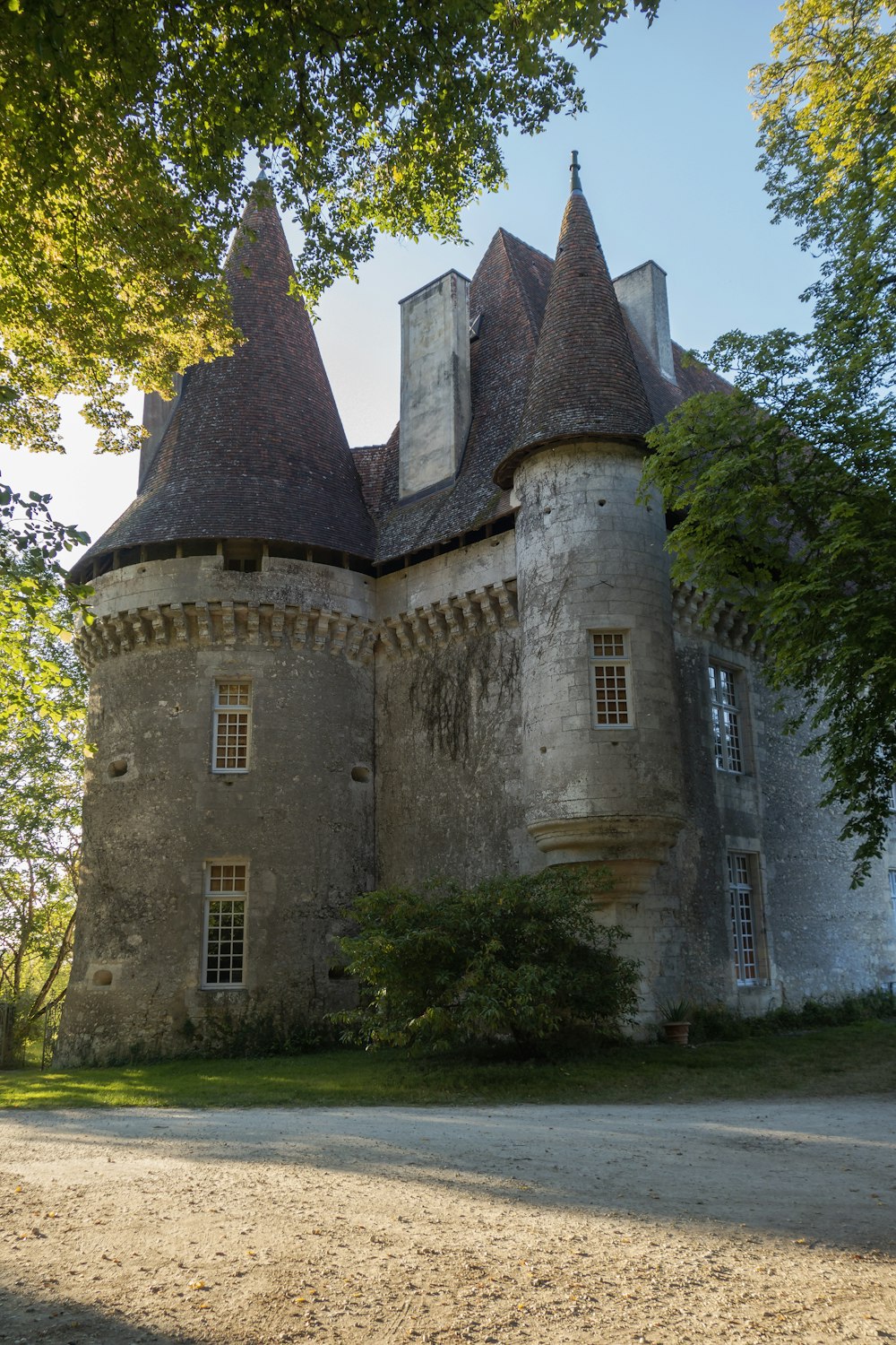 Un grande castello come edificio con molte finestre