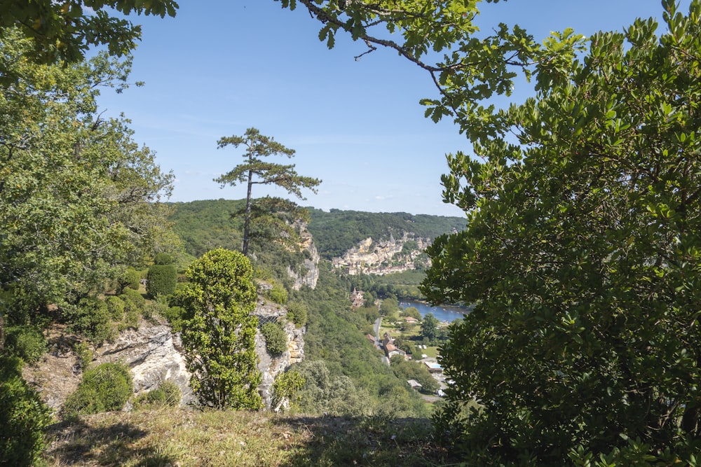 a scenic view of a valley with a lake in the distance