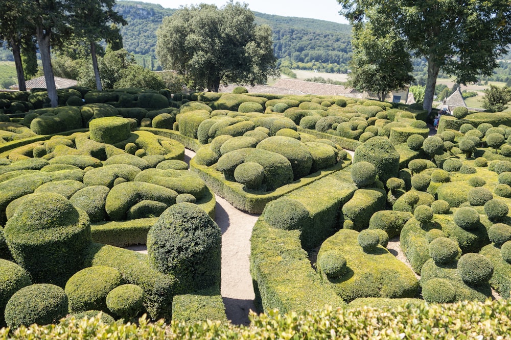 a very large garden with a lot of hedges