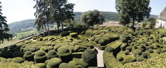 A meticulously landscaped garden featuring manicured, geometric-shaped hedges and bushes. Tall trees provide shade, and a serene countryside vista is visible in the distance.