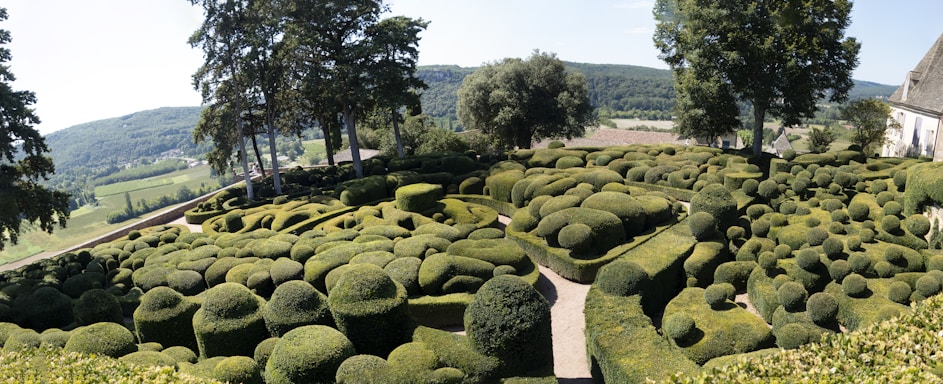 A meticulously landscaped garden featuring manicured, geometric-shaped hedges and bushes. Tall trees provide shade, and a serene countryside vista is visible in the distance.