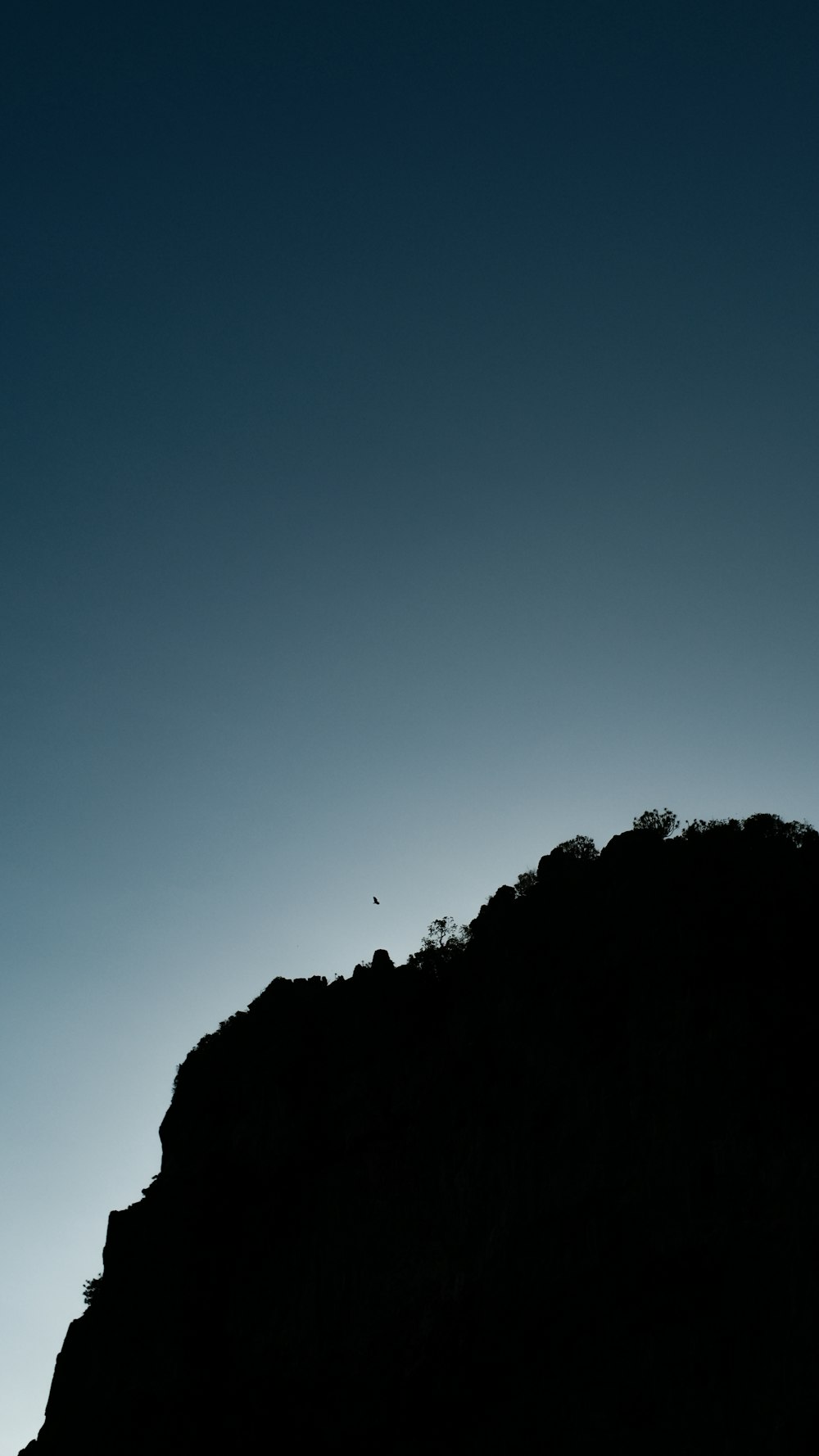 a person standing on top of a mountain with a surfboard