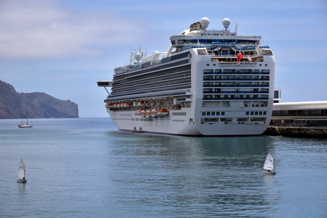 a large cruise ship in the water next to a dock, A cruise ship in port (At anchor)