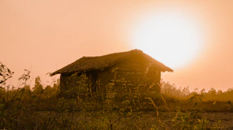 An evening shot of a traditional tribal hut illuminated by warm lantern light, surrounded by nature.