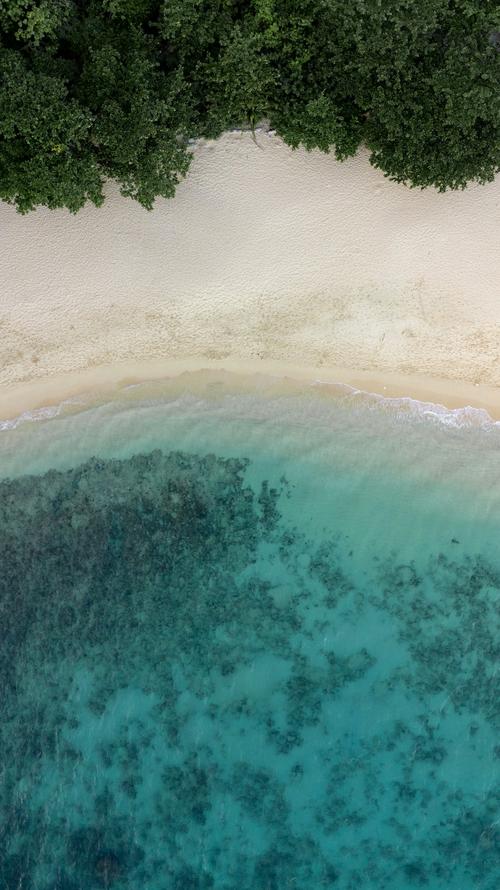 an aerial view of a sandy beach and ocean