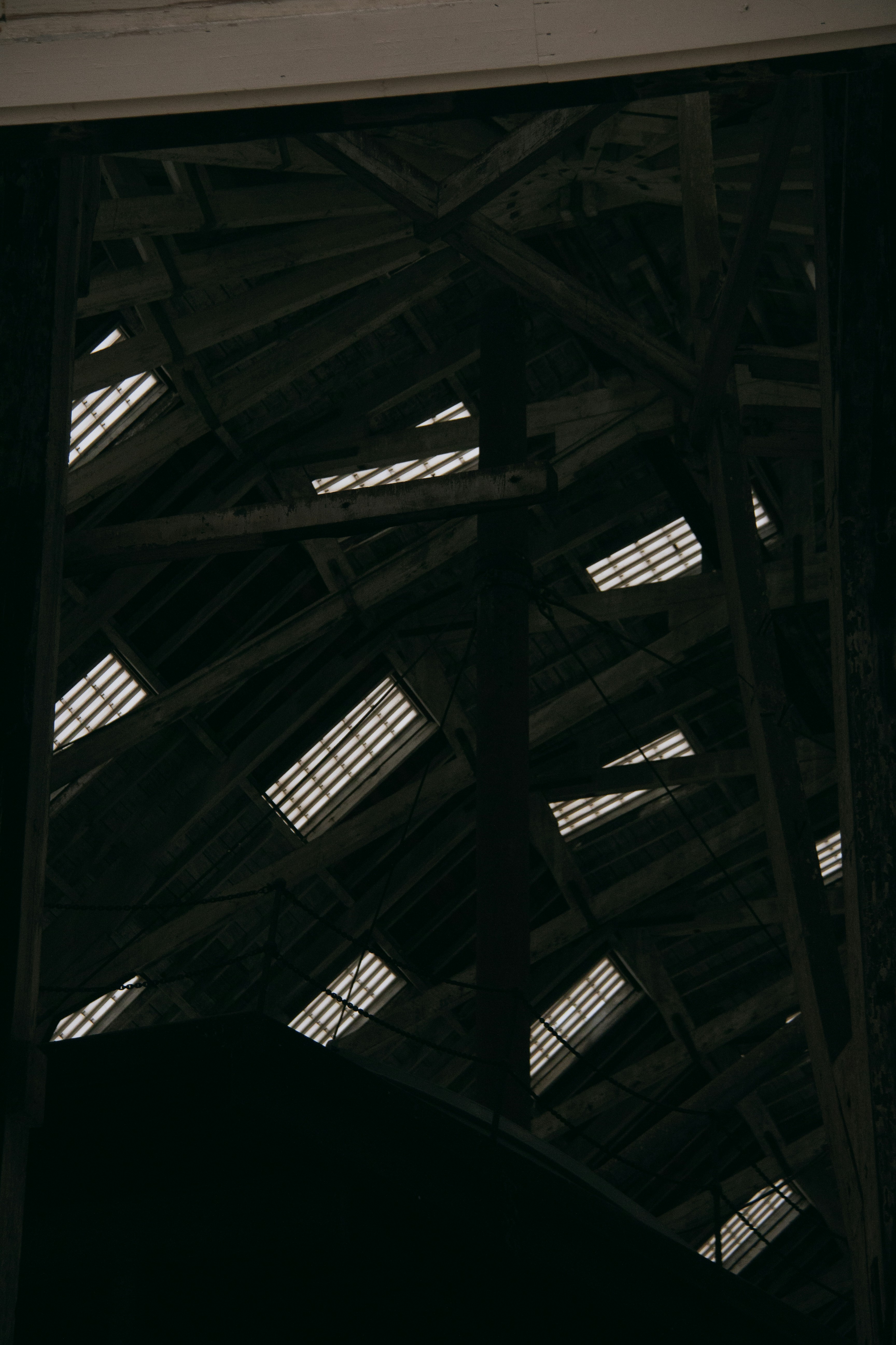 photo-1676387187782-f1ad64a9e790?w=2000&auto=format&fit=crop&q=60&ixlib=rb-4.1.0&ixid=M3wxMjA3fDB8MHxzZWFyY2h8MTJ8fCVFNiU5QyVBOCVFOSU5NyVBOHxlbnwwfHwwfHx8MA%3D%3D