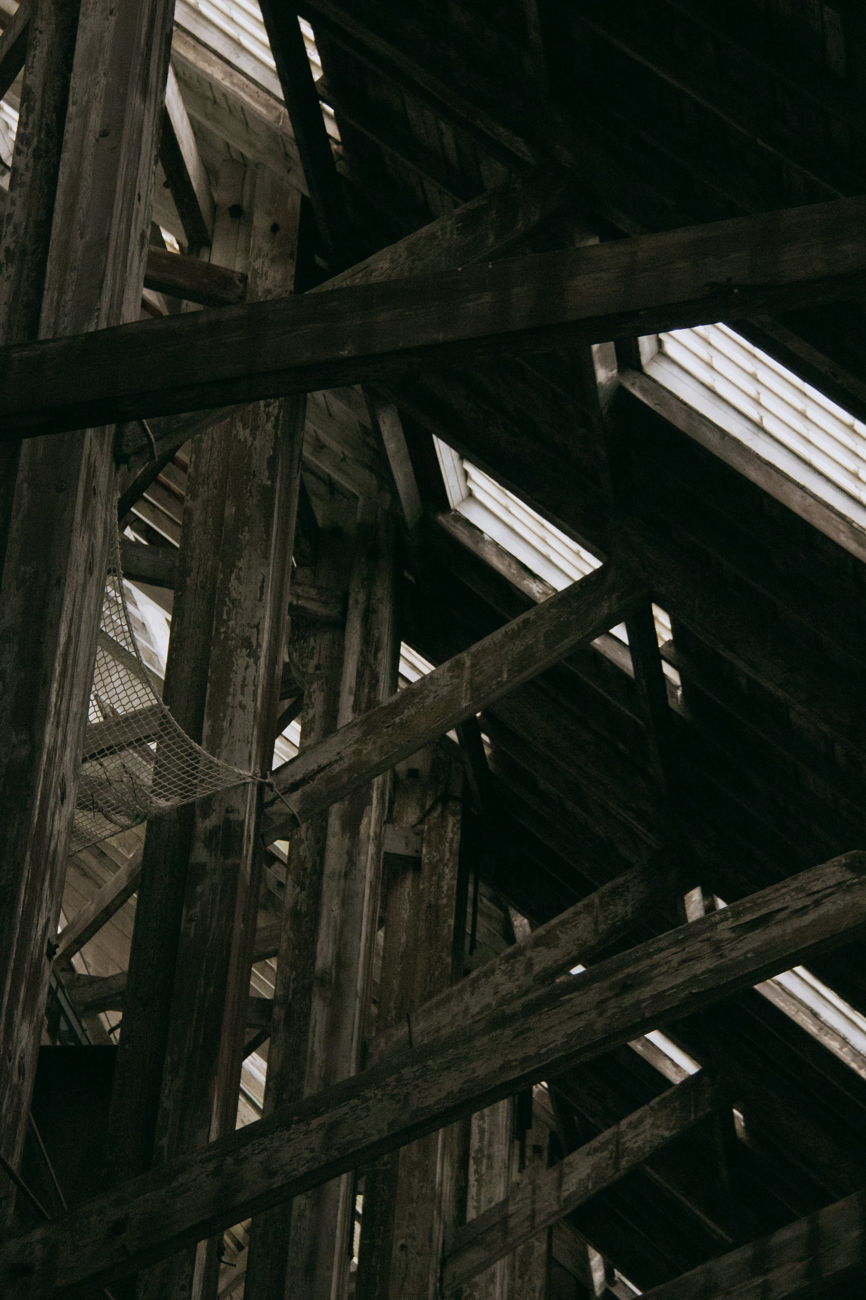 Photo by charlieh_viewfinder