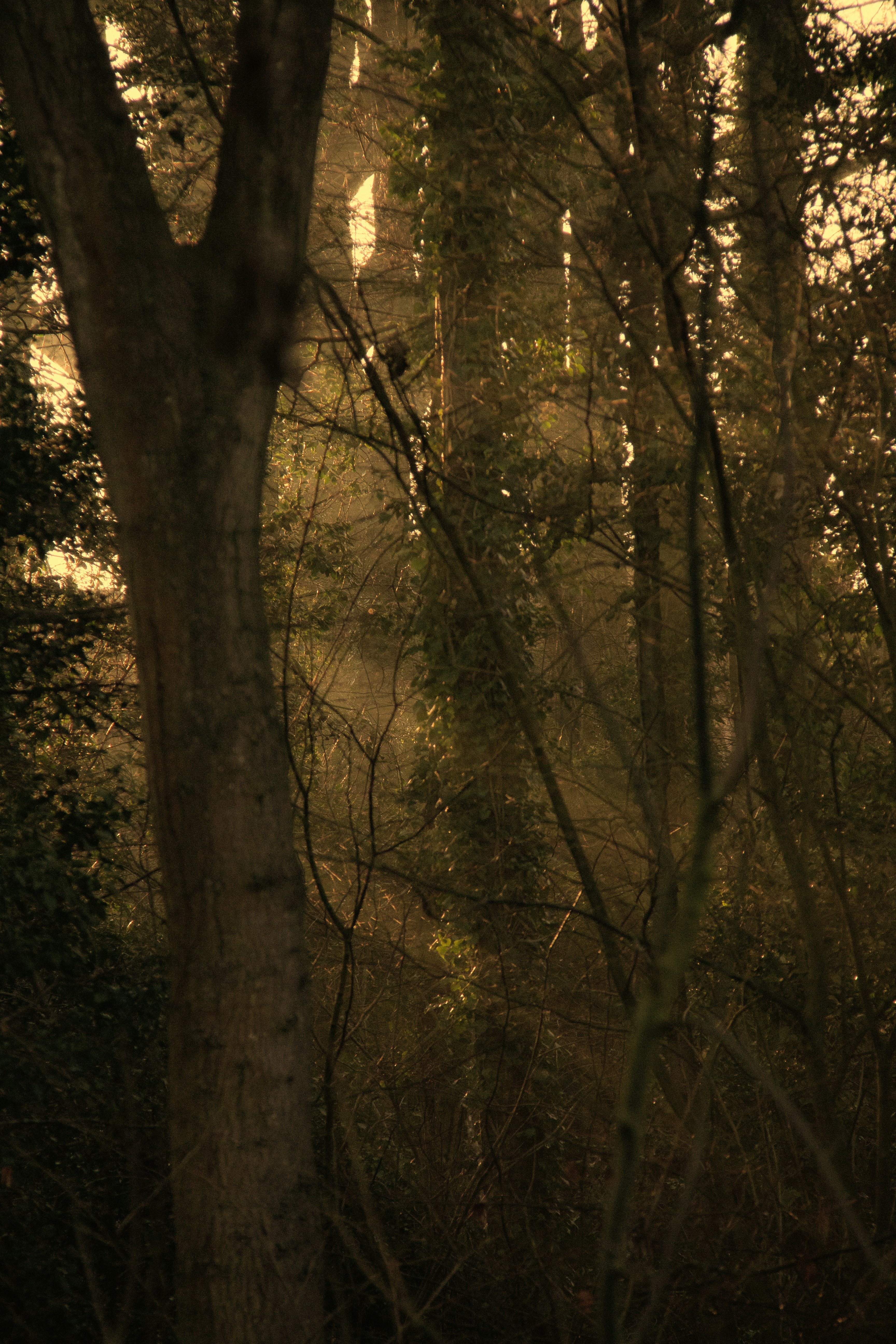 Photo by charlieh_viewfinder