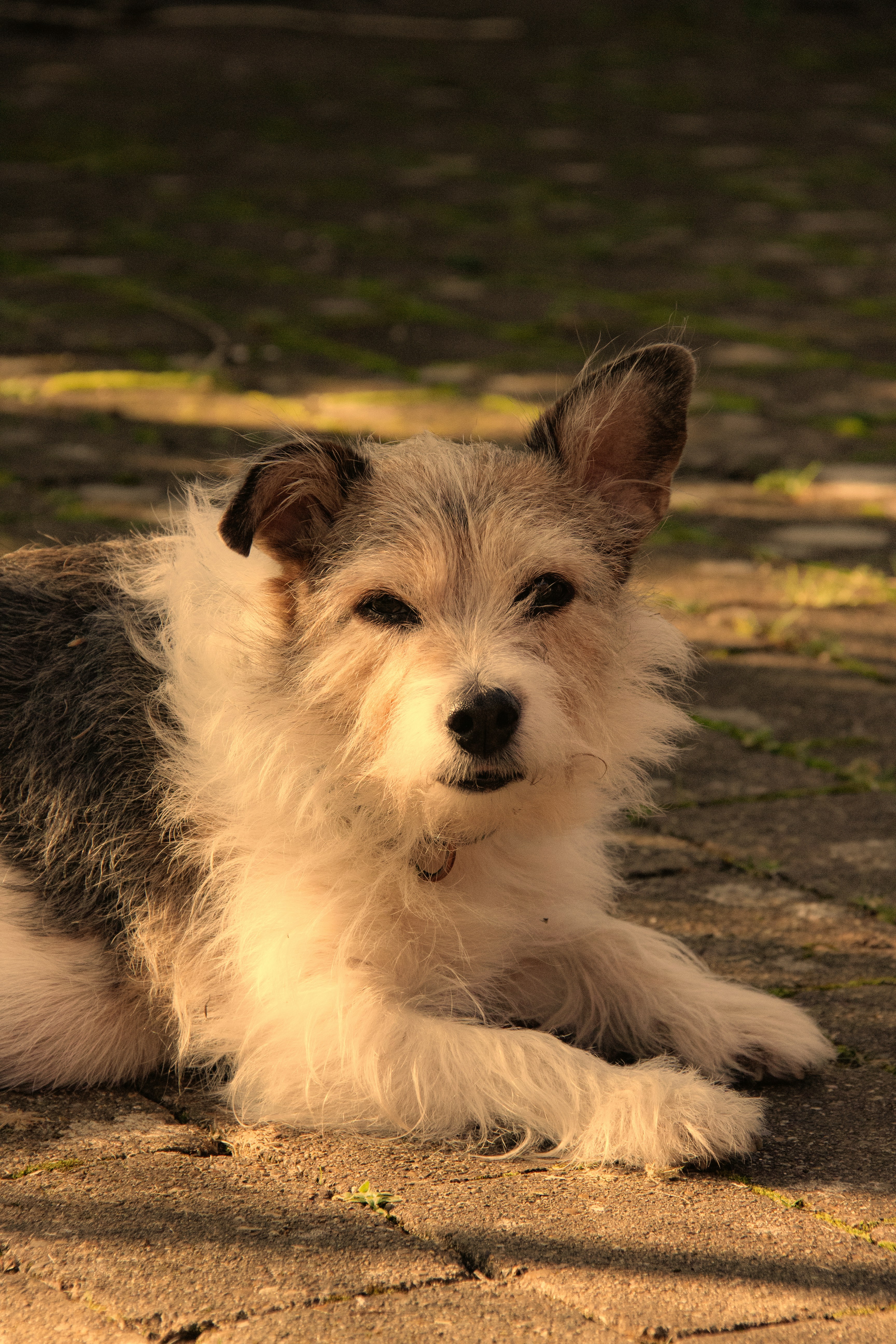 Photo by charlieh_viewfinder