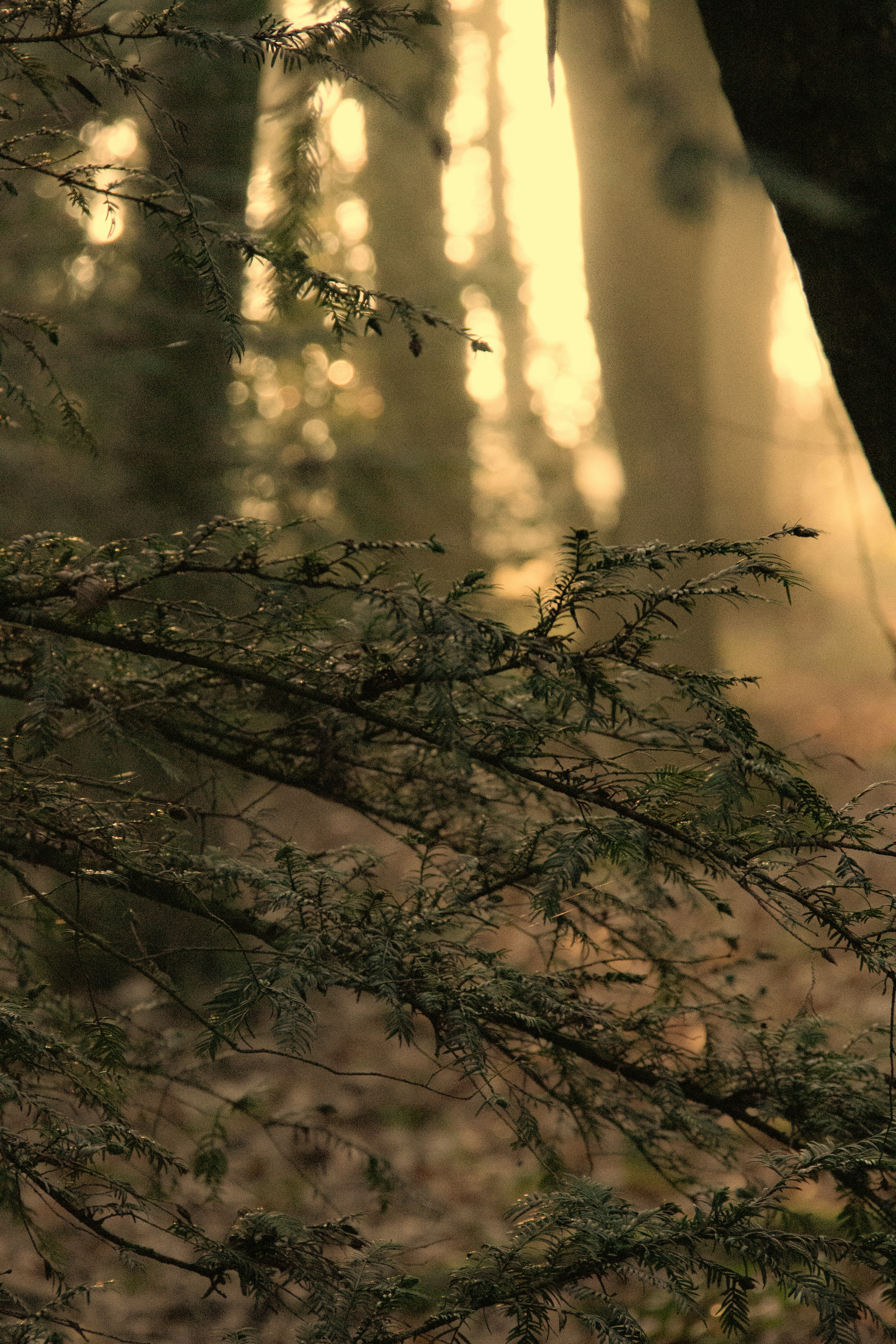 Photo by charlieh_viewfinder