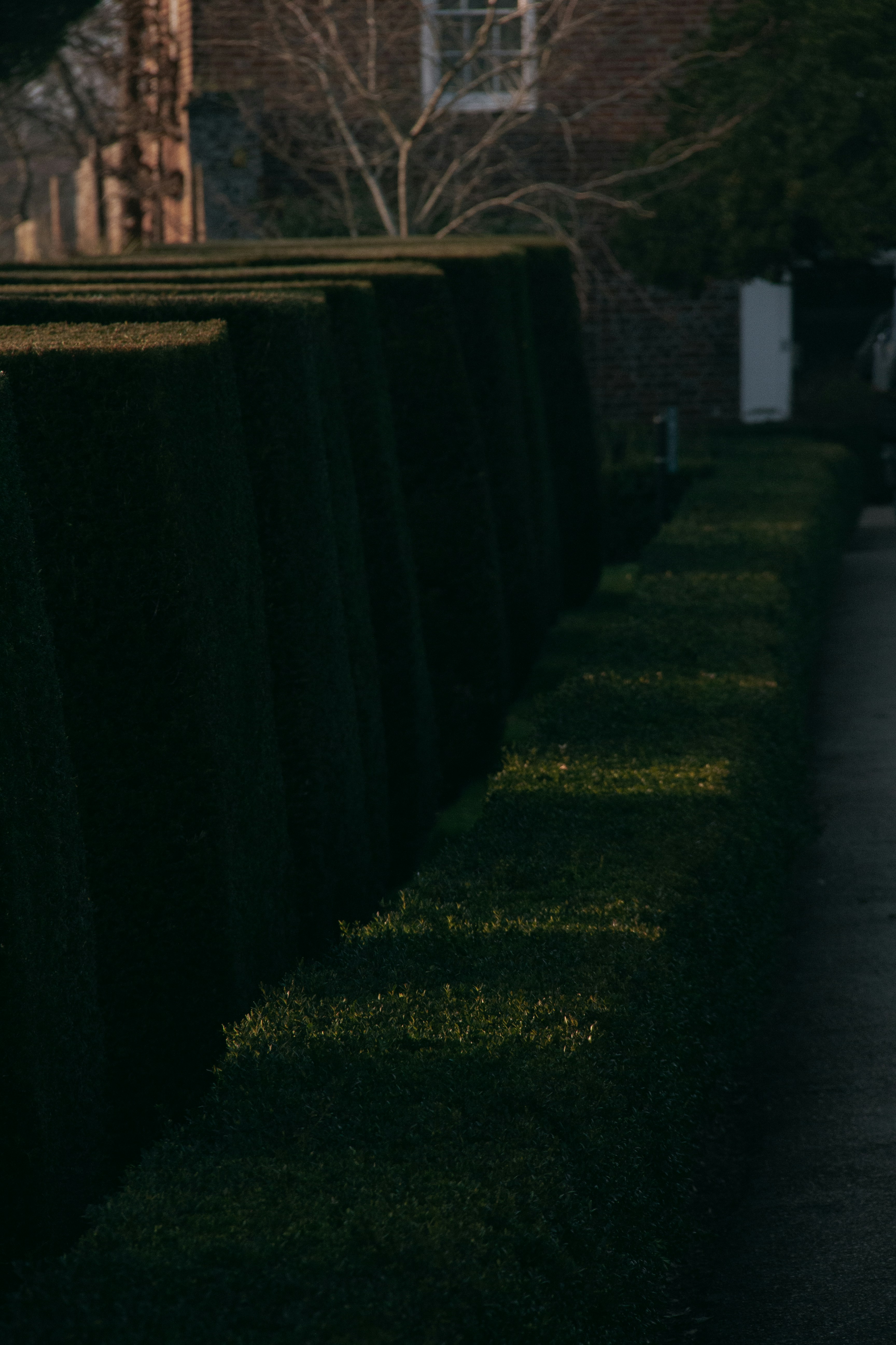 Photo by charlieh_viewfinder