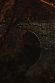 A stone arch bridge partially obscured by leafless branches. The structure reflects lightly on a dark body of water beneath it, creating a tranquil and somewhat mysterious atmosphere. The scene is dimly lit, with an emphasis on earthy tones and textures.