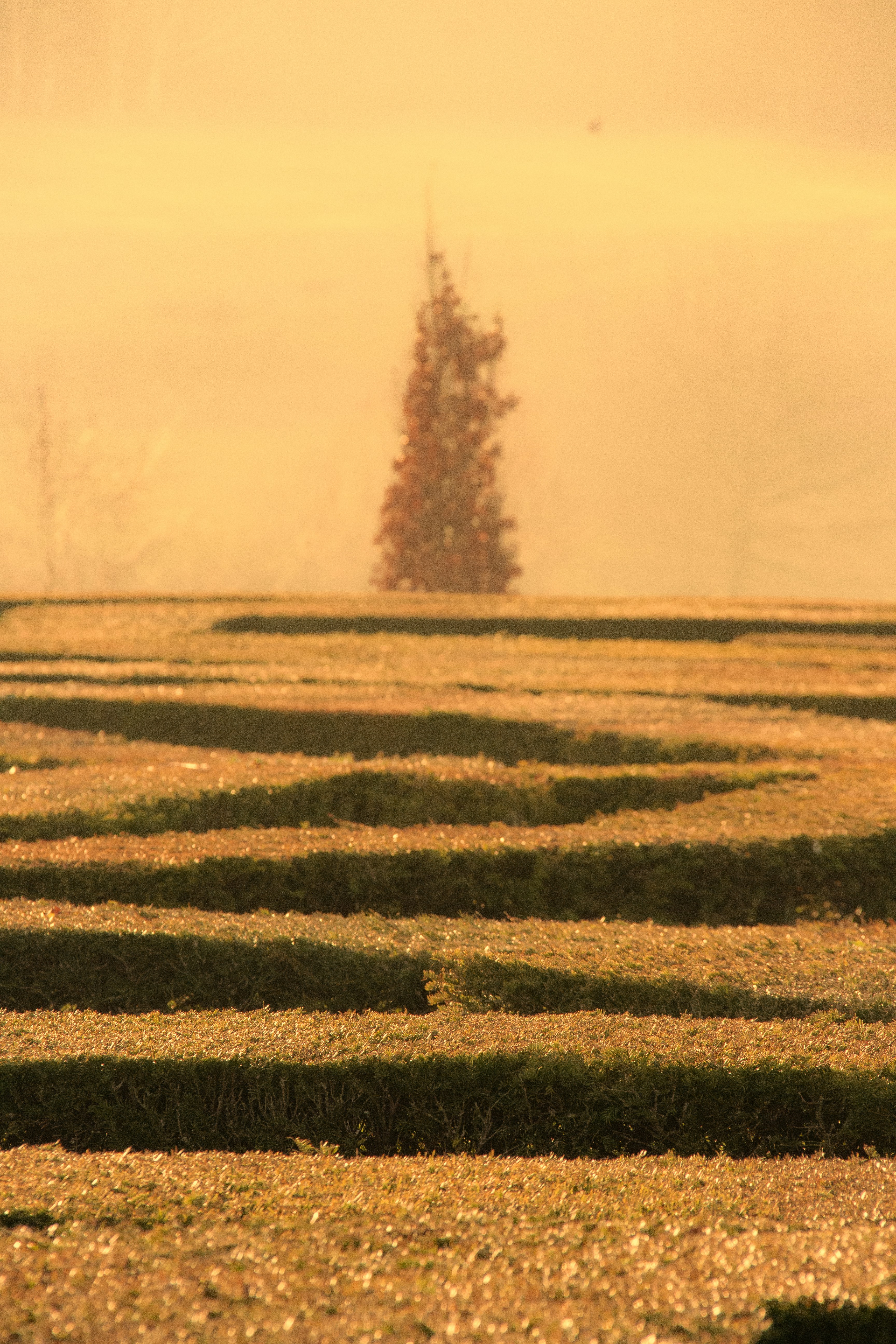 Photo by charlieh_viewfinder