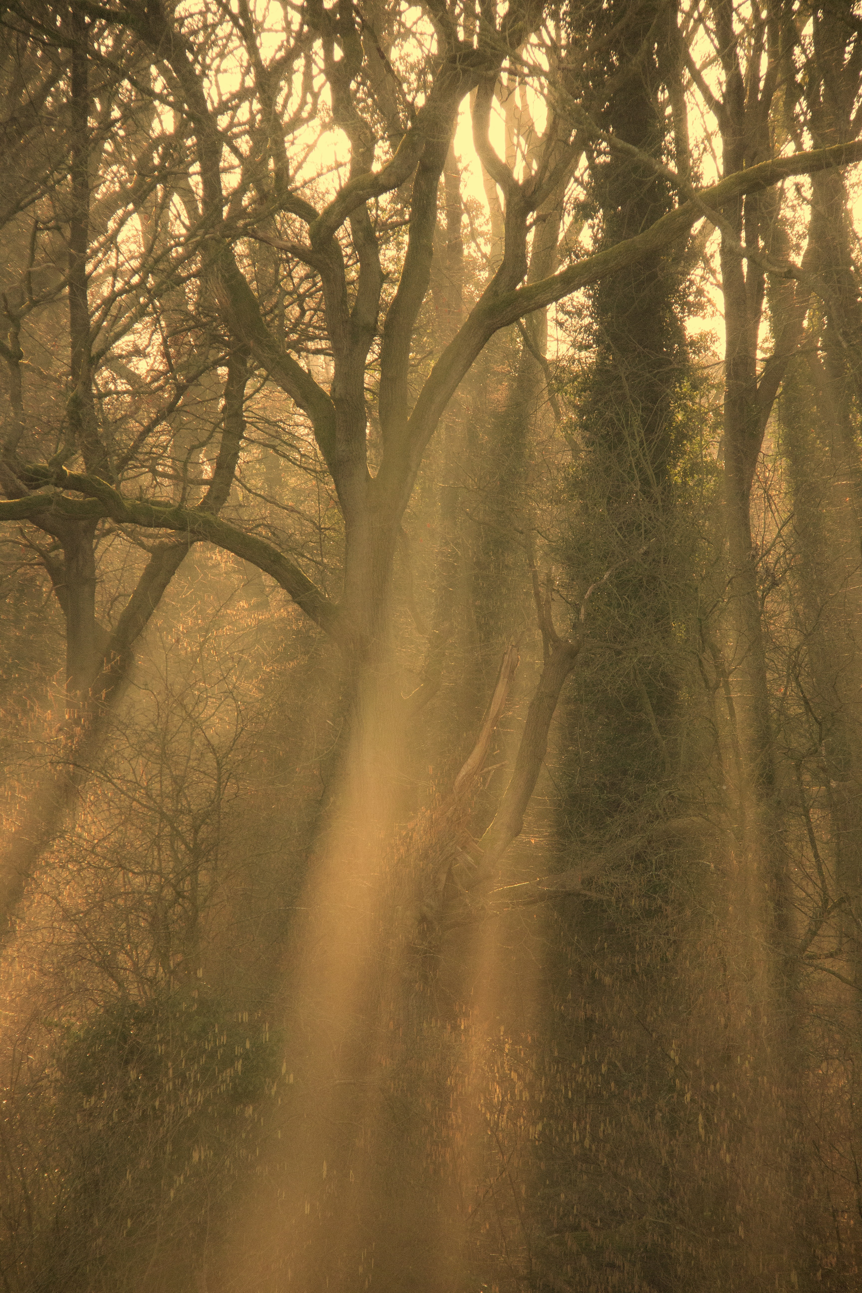 Photo by charlieh_viewfinder