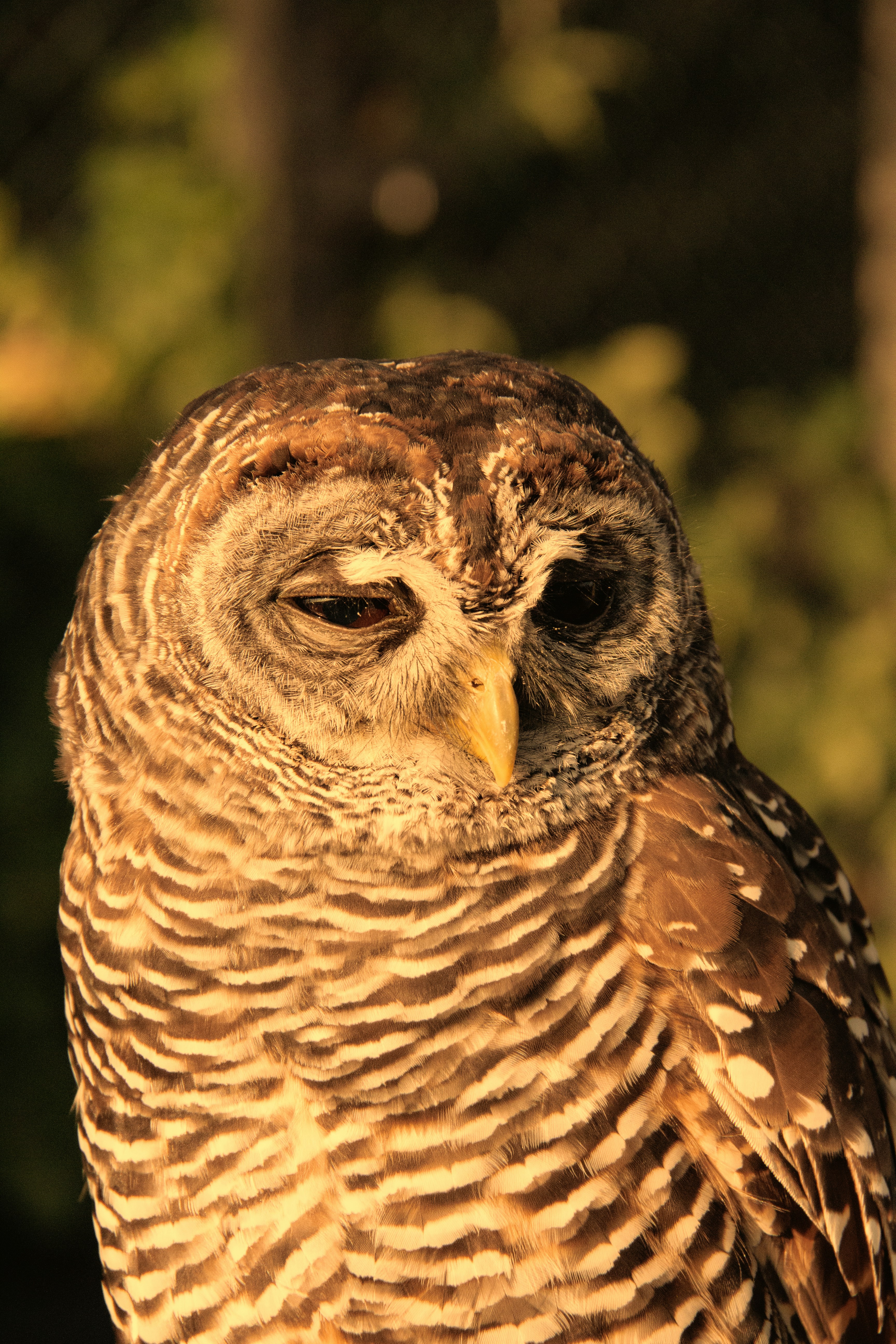 Photo by charlieh_viewfinder