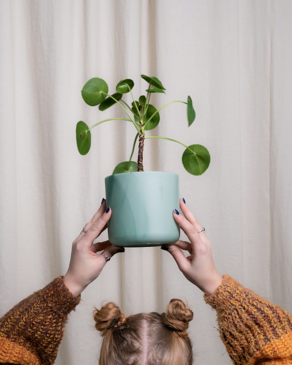 Une femme tenant une plante en pot au-dessus de sa tête