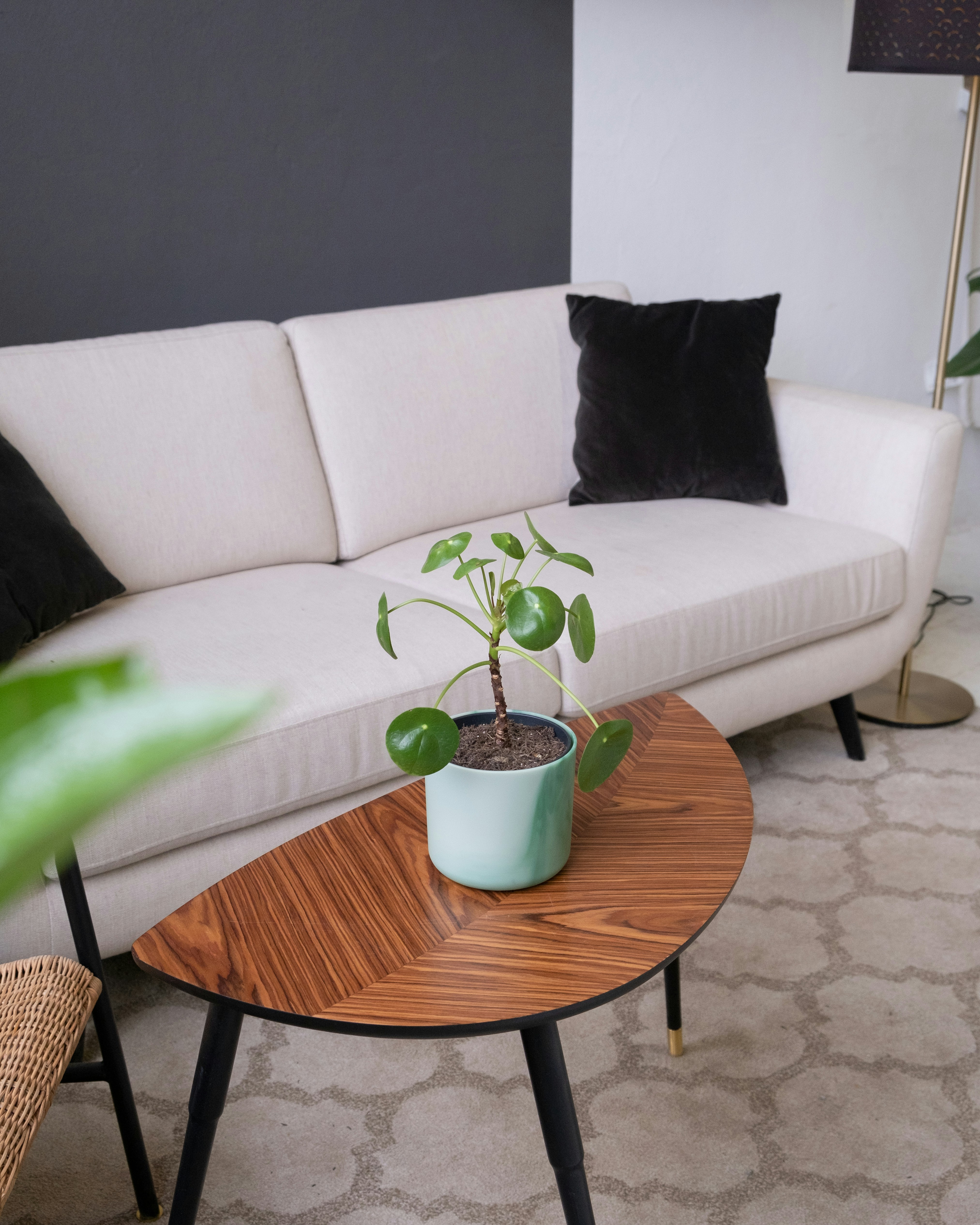 a living room with a white couch and a wooden table