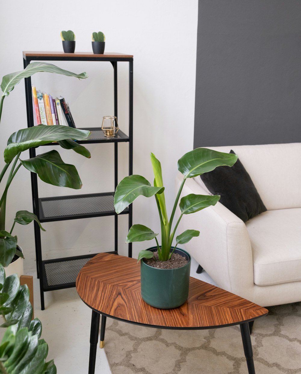 a living room with a couch and a table with a potted plant on it