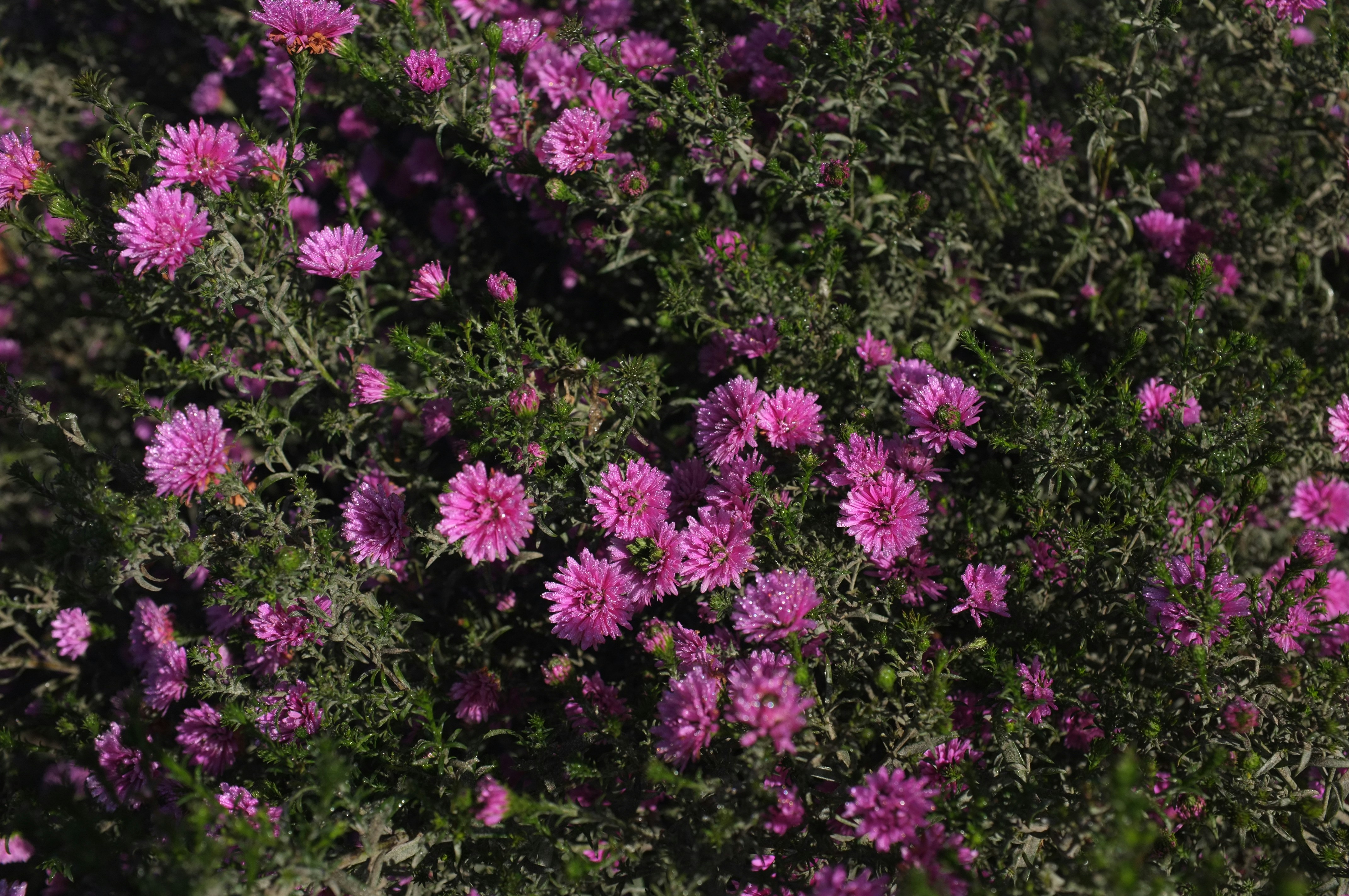 Photo by haunguyen98