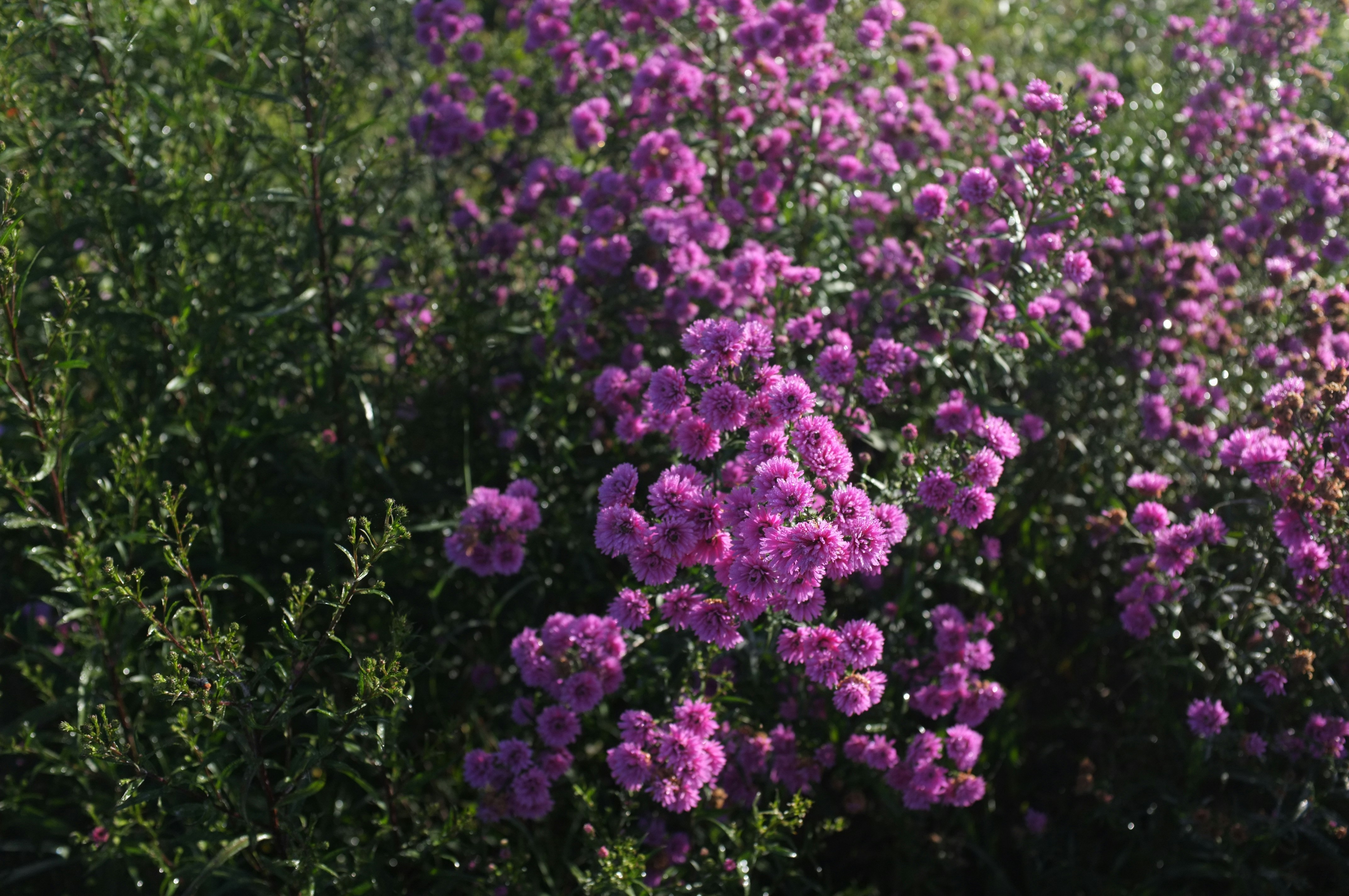 Photo by haunguyen98