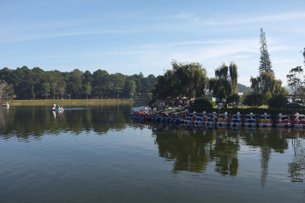 Foto Una fila de botes sentados en la de un lago – Imagen Dalat gratis en Unsplash