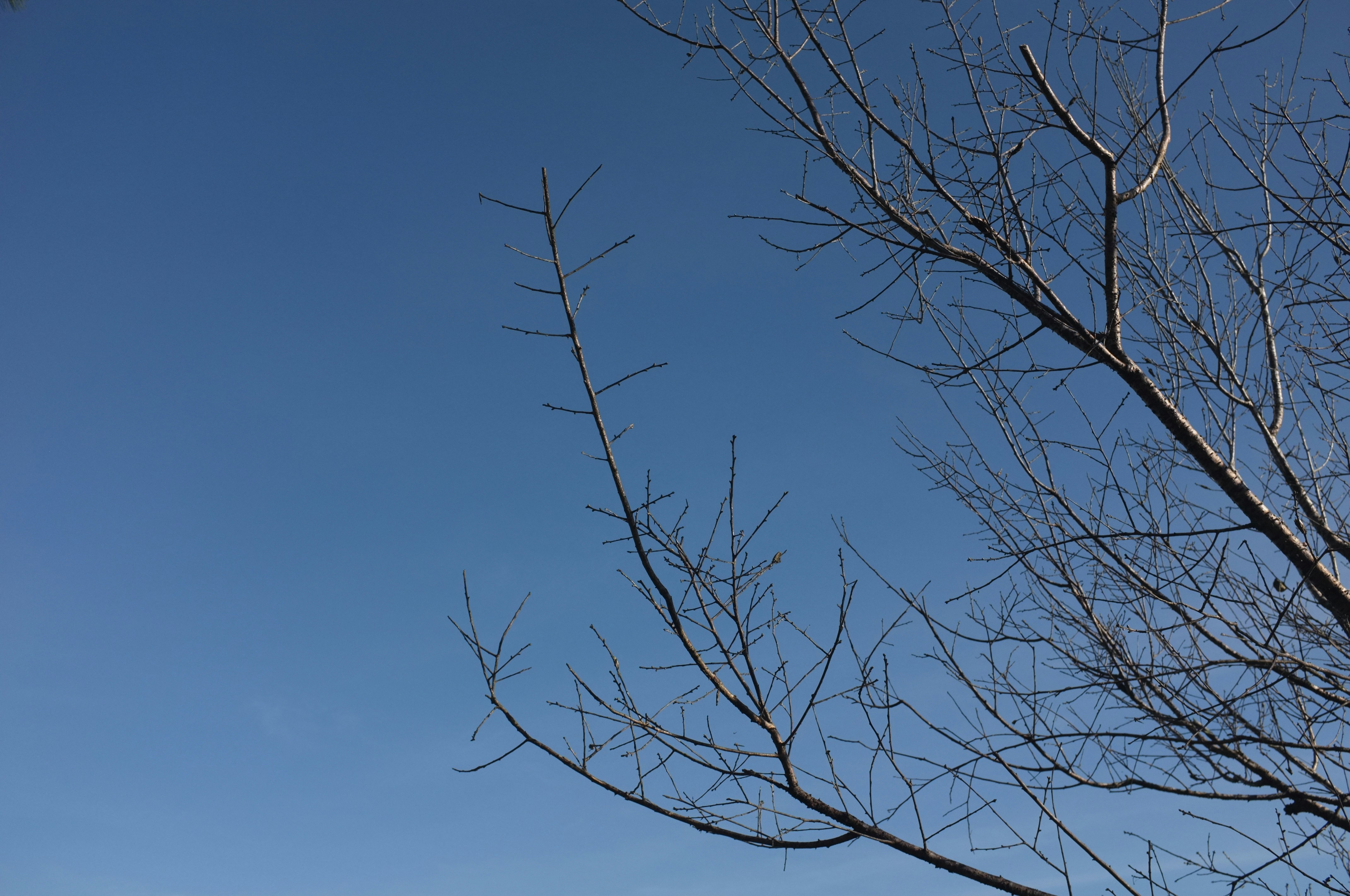 Photo by haunguyen98