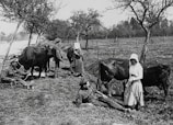 Farmers attending a hands-on training session on livestock care in a rural setting.