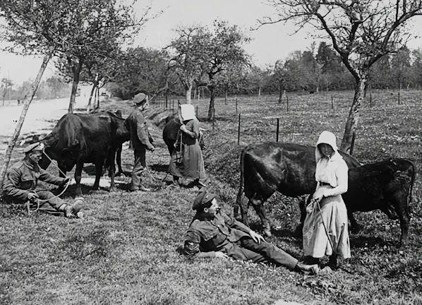 A group of farmers receiving hands-on training outdoors near livestock.