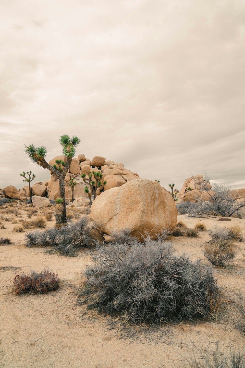 a large rock in the middle of a desert