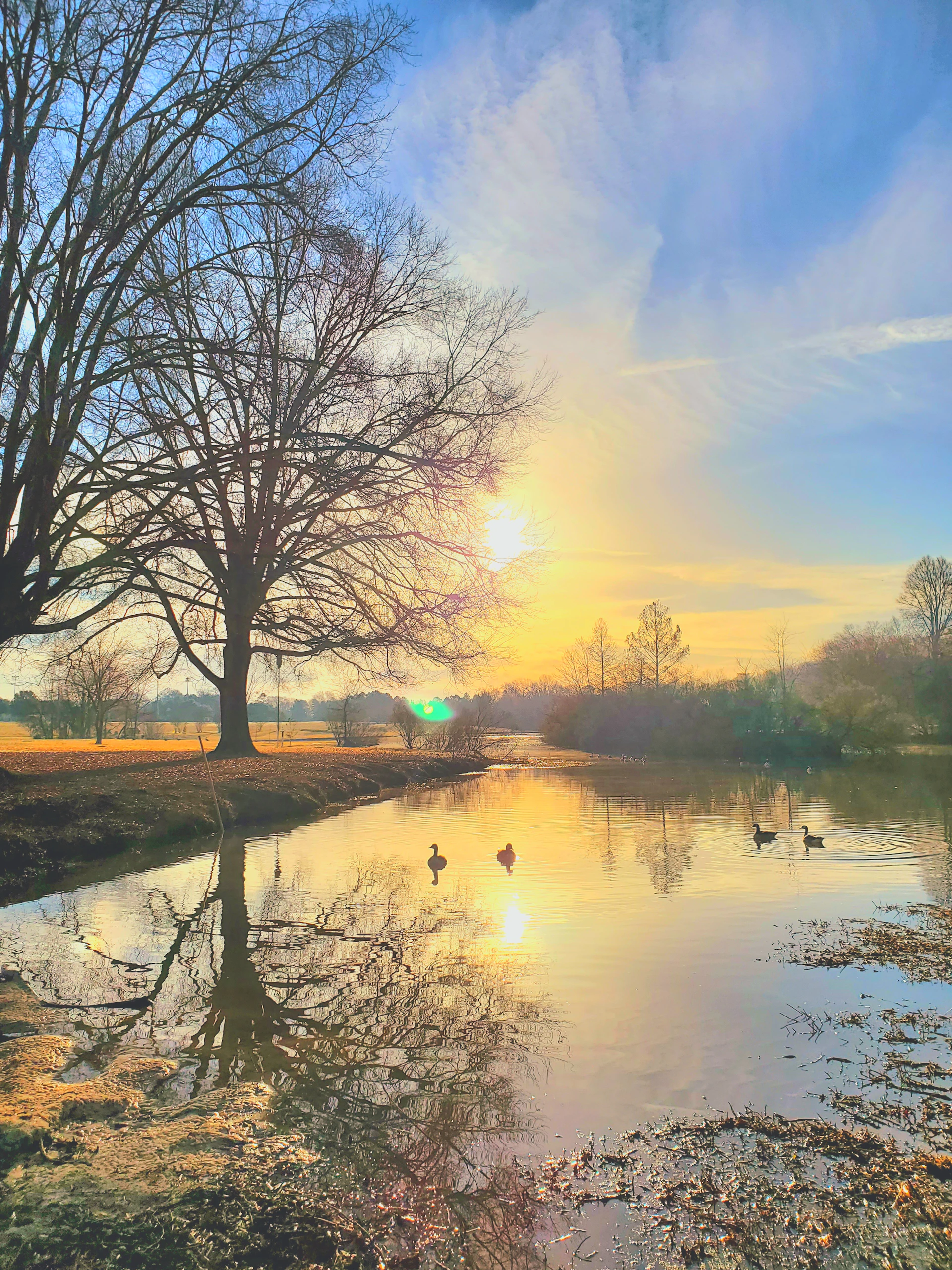 A tranquil pond reflecting the soft hues of sunset with birds perched nearby, capturing the calm atmosphere of dealesrock.