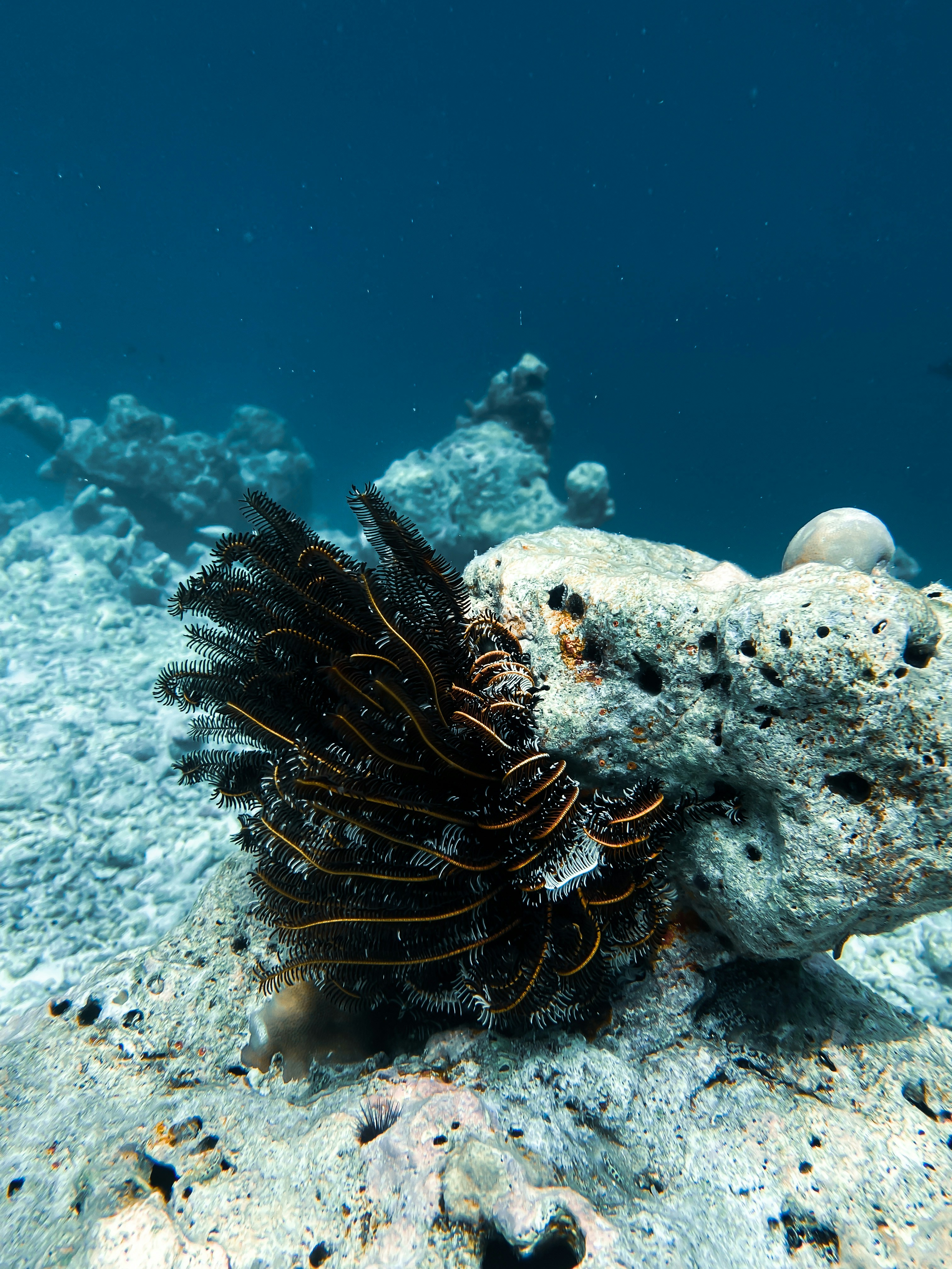 Photo by anmadezzzzz