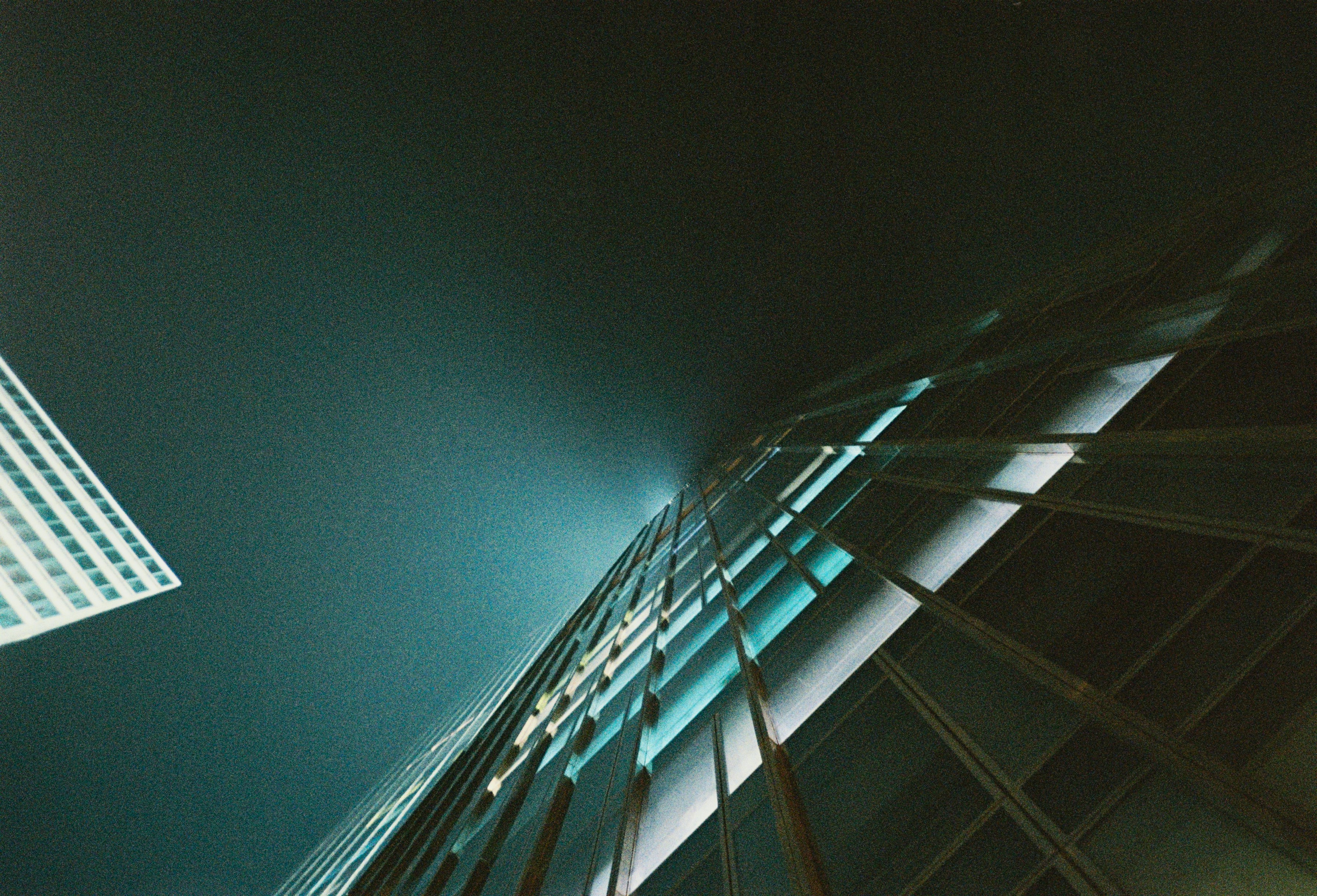 Photo by mangosaregreat