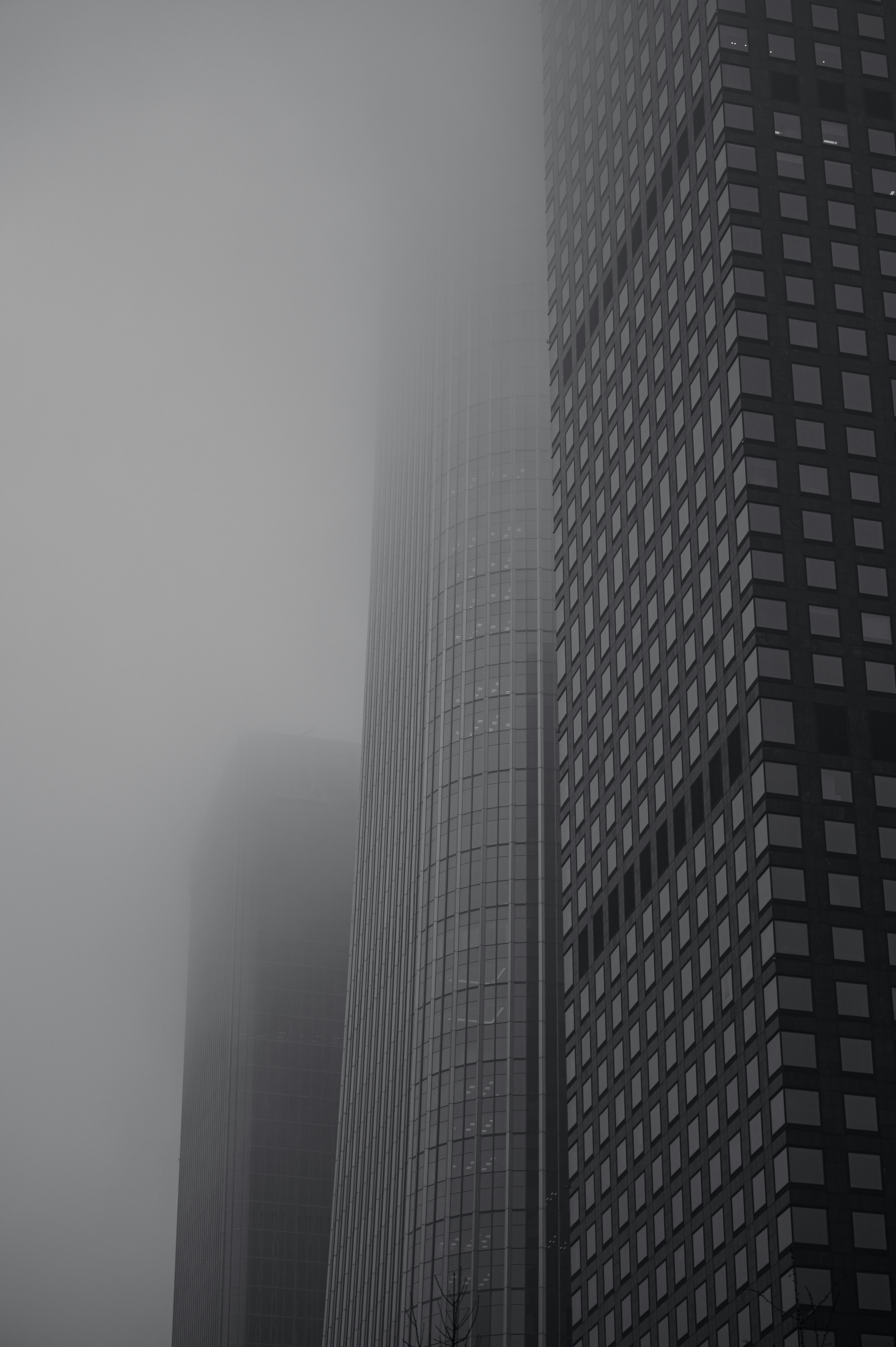 Photo by tianhao_wang