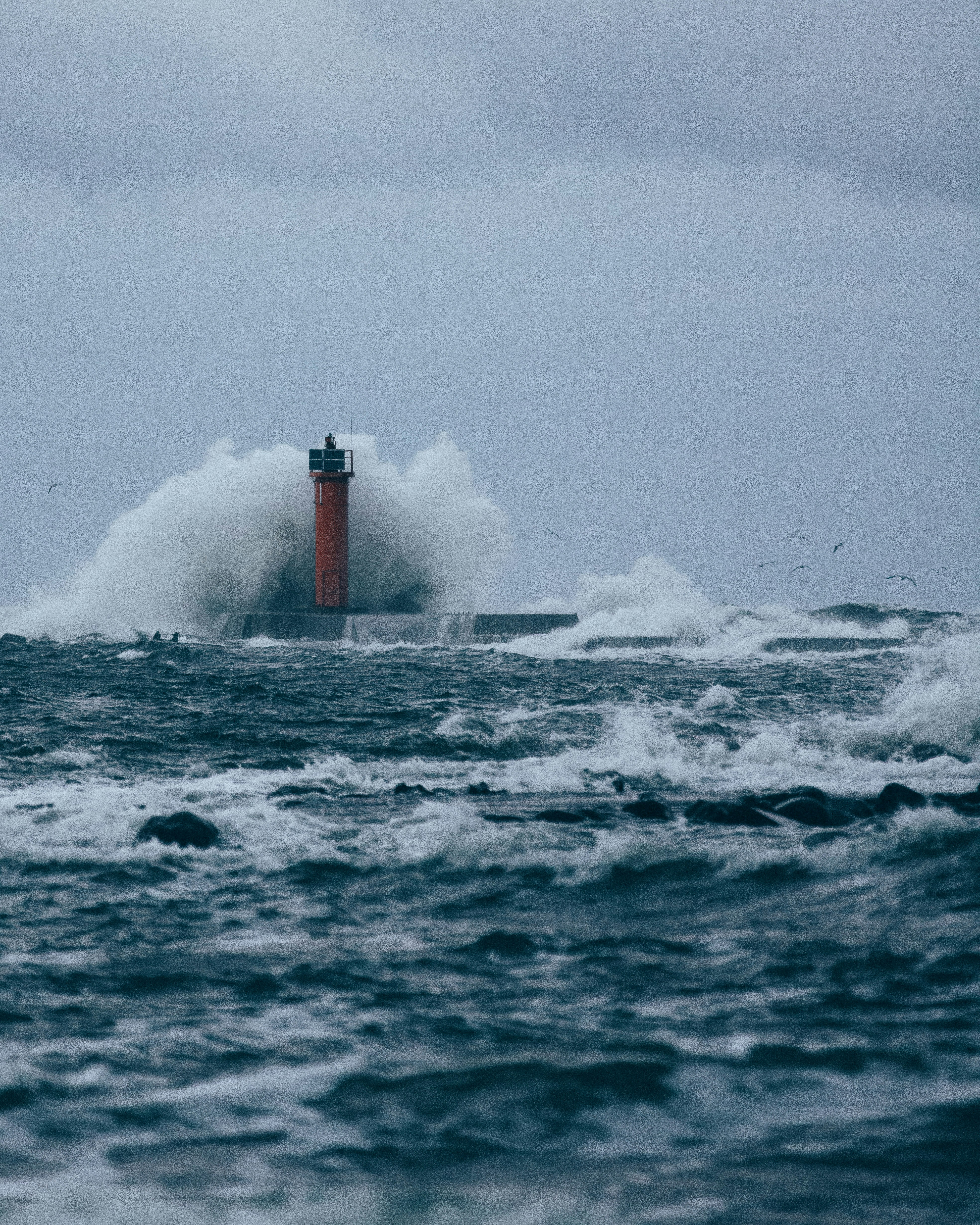 Photo by armandsbrants