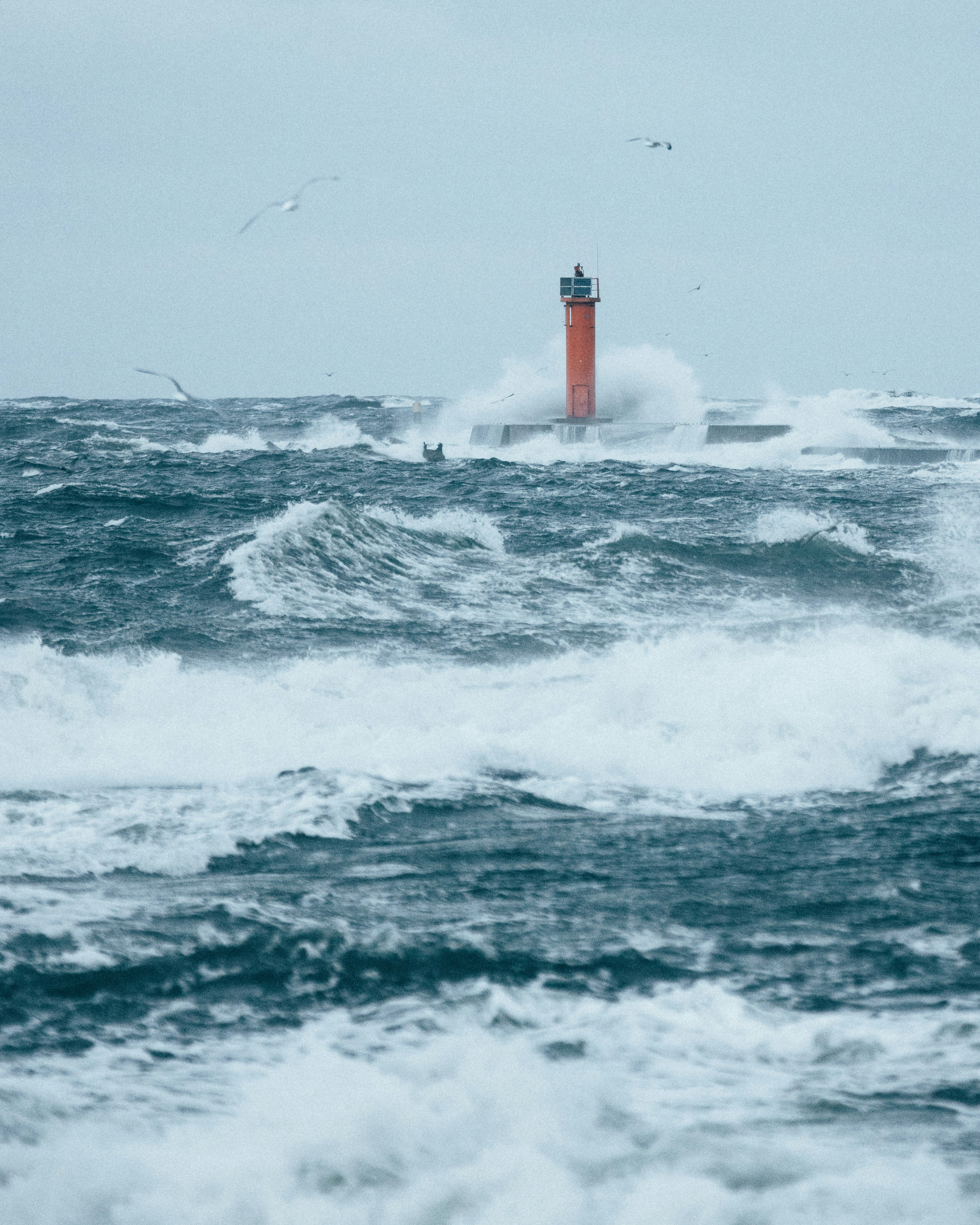 Photo by armandsbrants