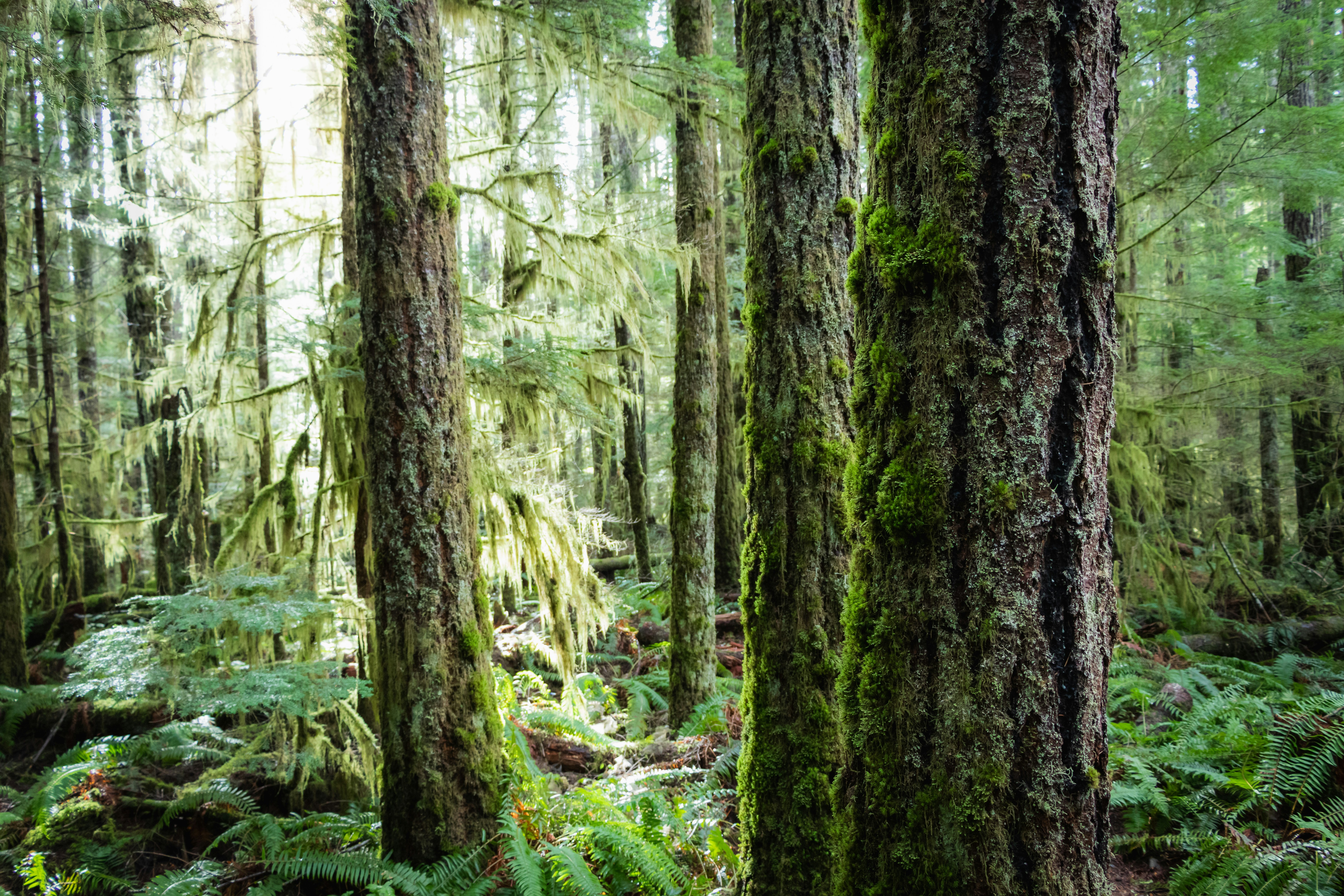 Photo by greg_rosenke