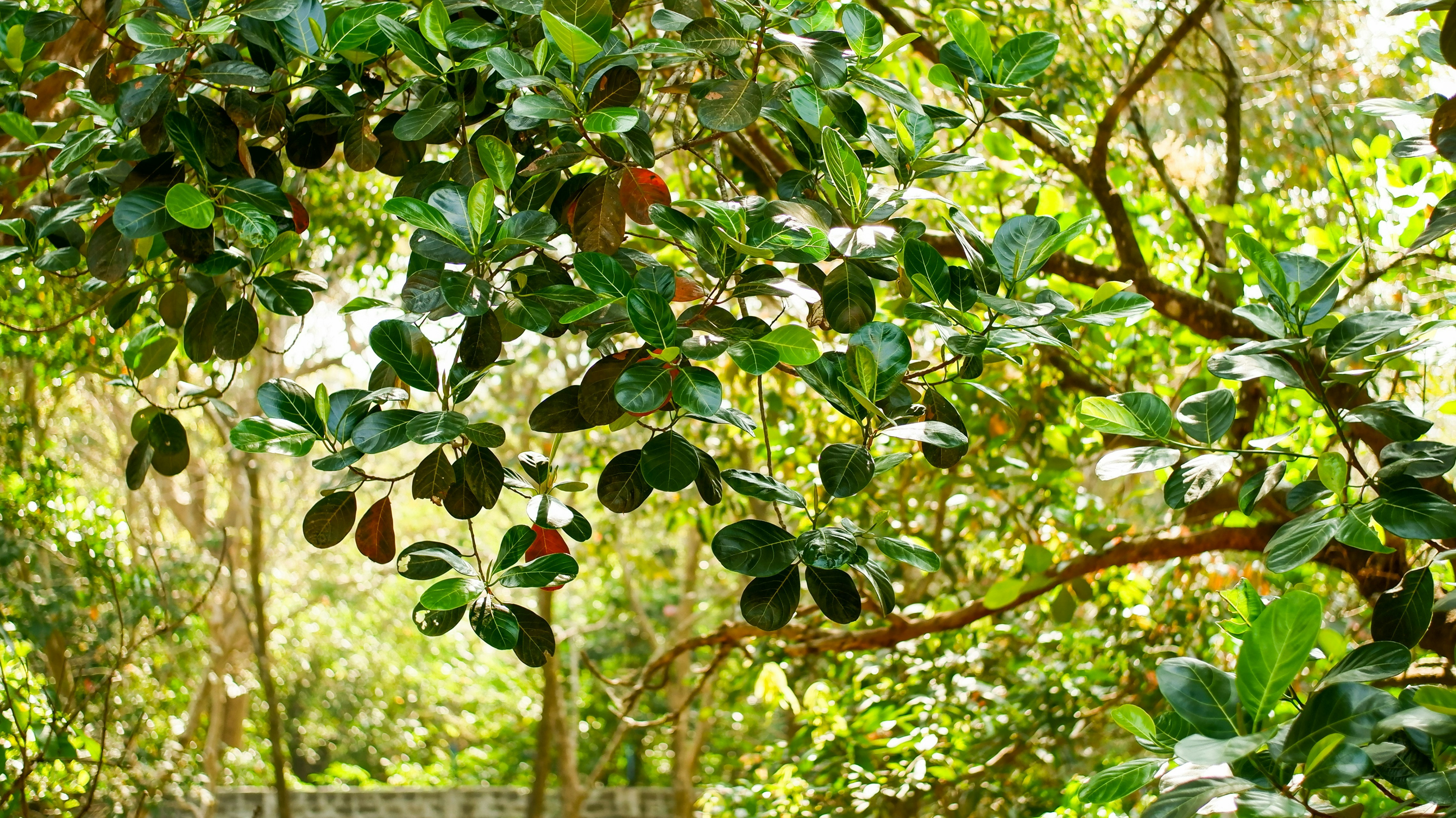 Photo by rajkamal_rk