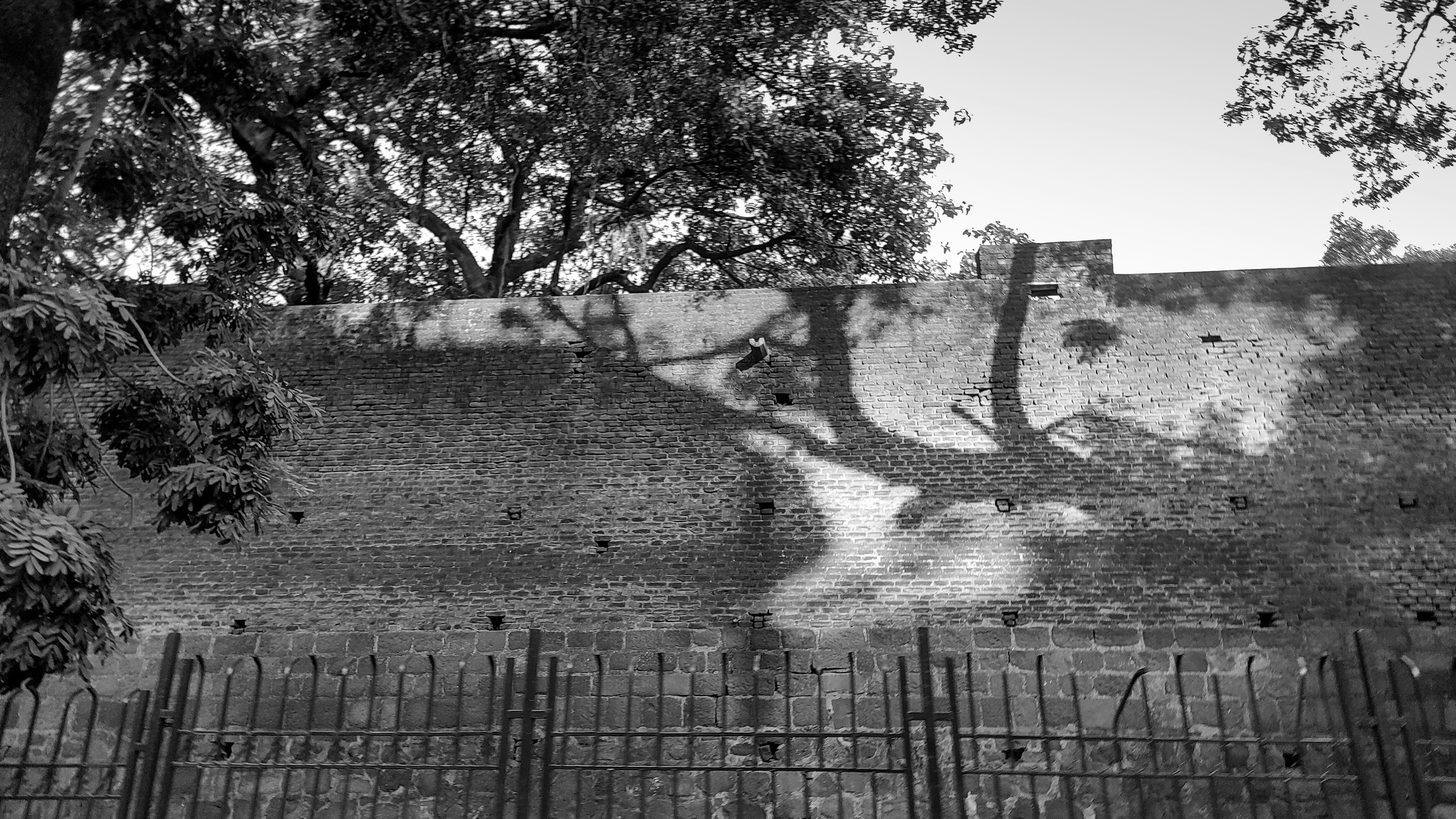 Photo by imashutossh