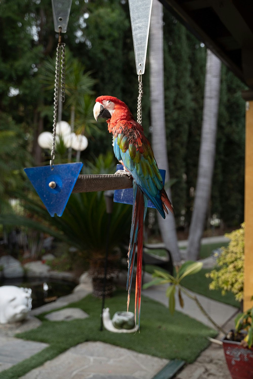 a colorful parrot perched on a bird feeder