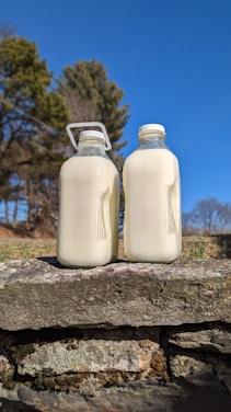 Two milk bottles are placed side by side on a weathered stone wall with a clear blue sky in the background and a few trees visible, suggesting a rural or natural setting.
