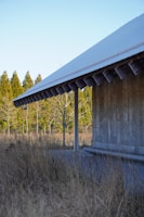 A completed building made from sip panels surrounded by nature.