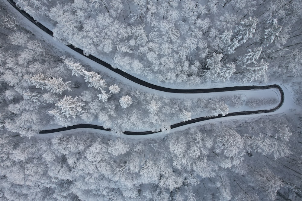 uma estrada sinuosa no meio de uma floresta nevada