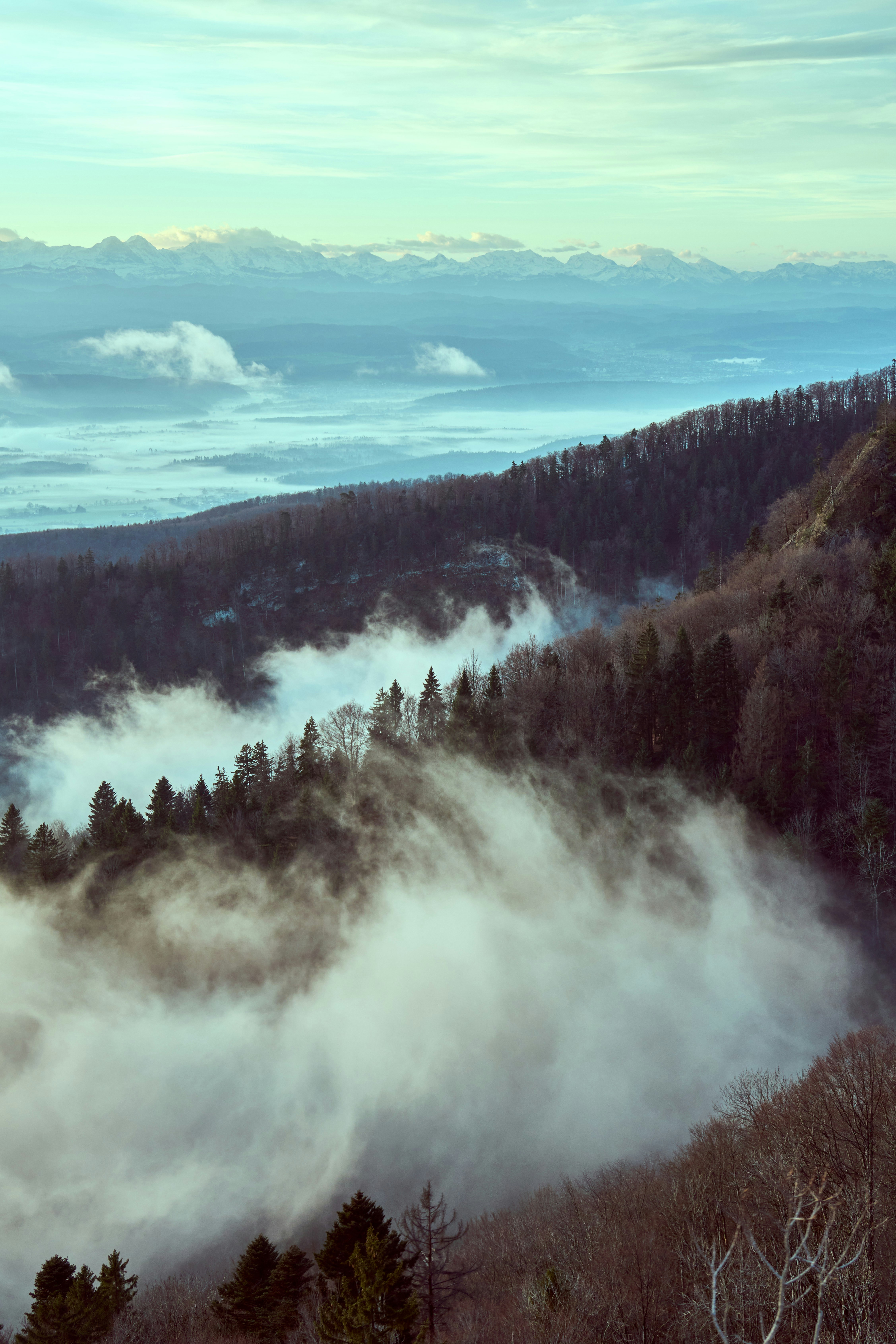 Photo by wolfgang_hasselmann