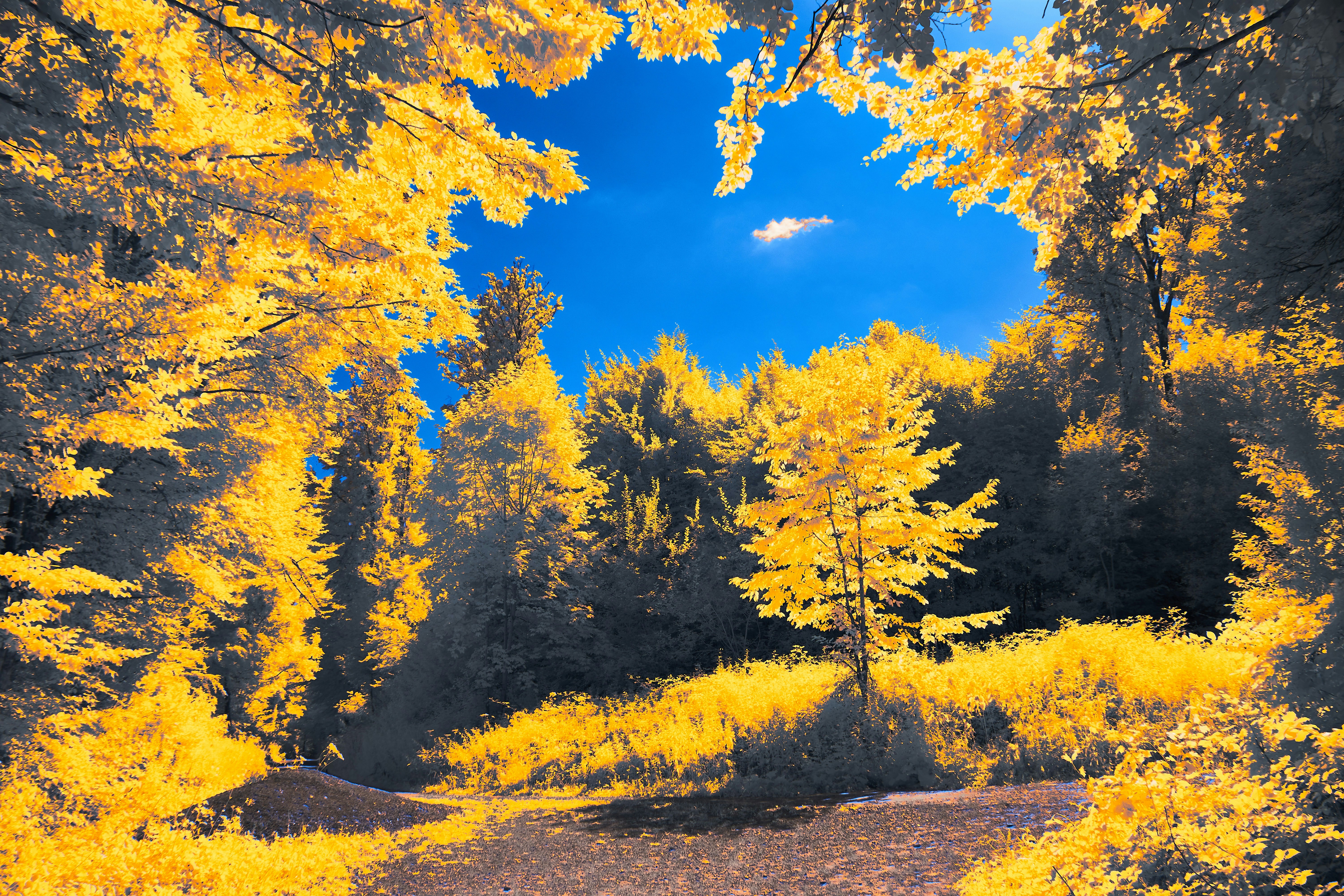 Photo by wolfgang_hasselmann