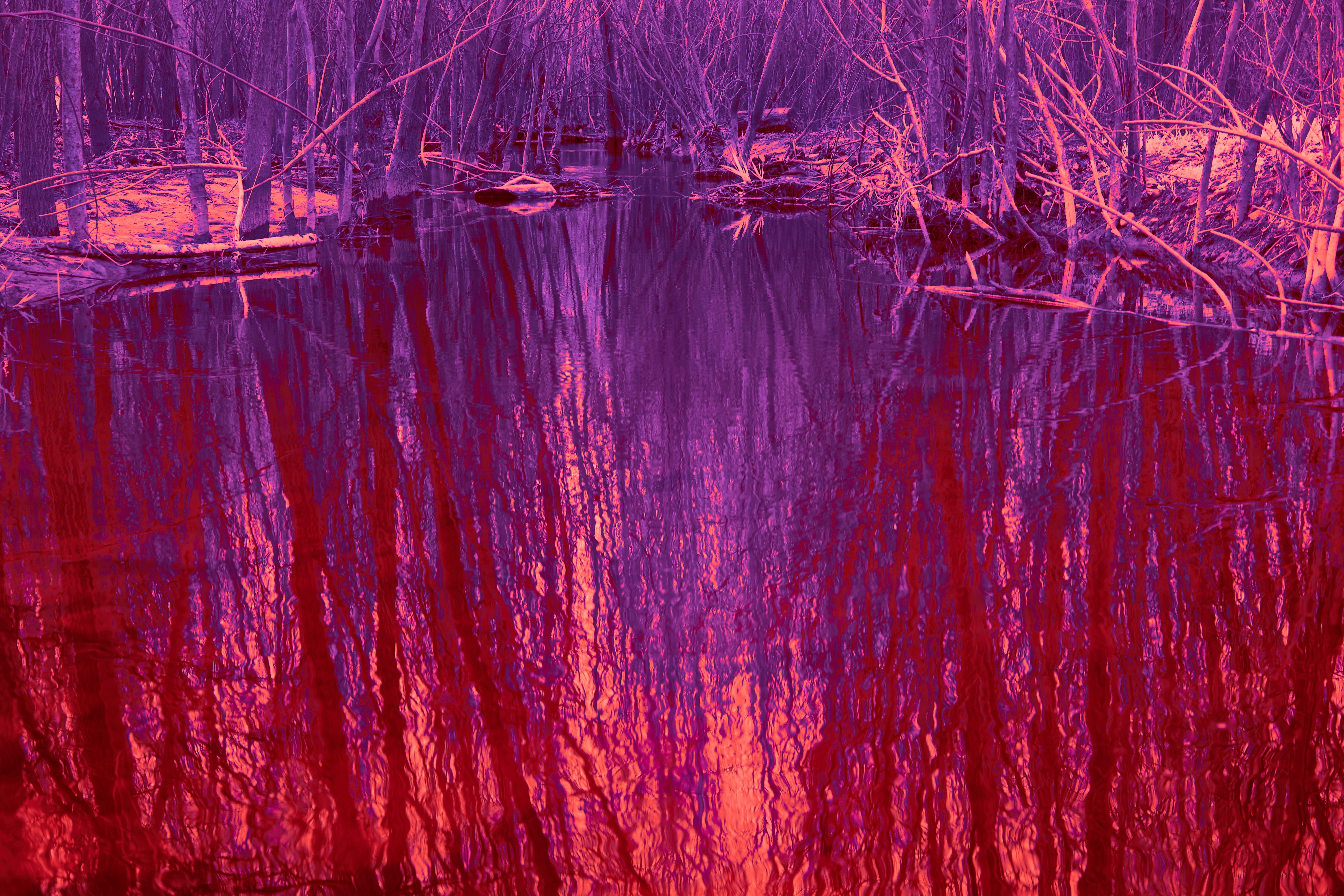 Photo by wolfgang_hasselmann