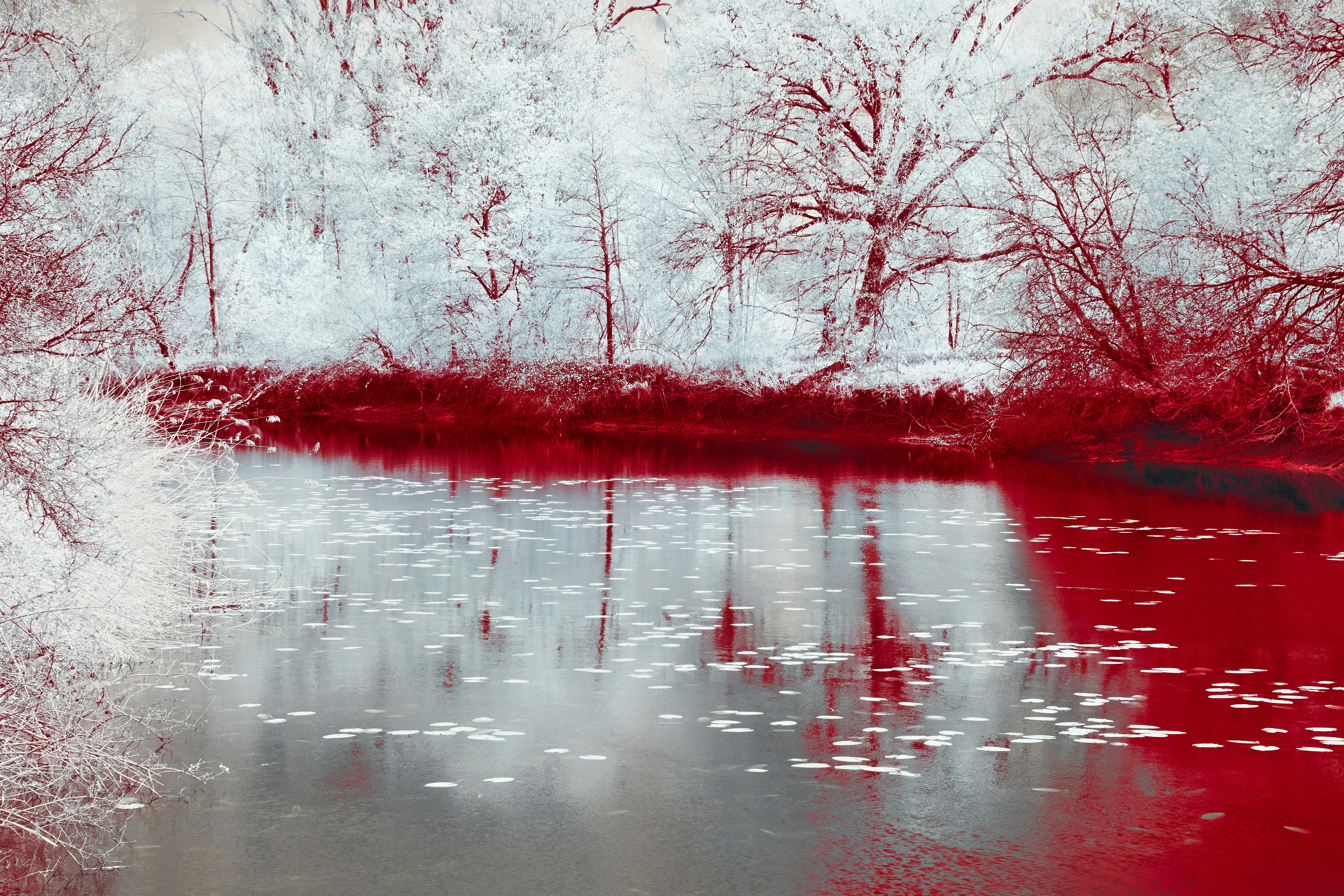 Photo by wolfgang_hasselmann