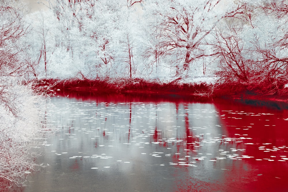 a red and white photo of trees and water