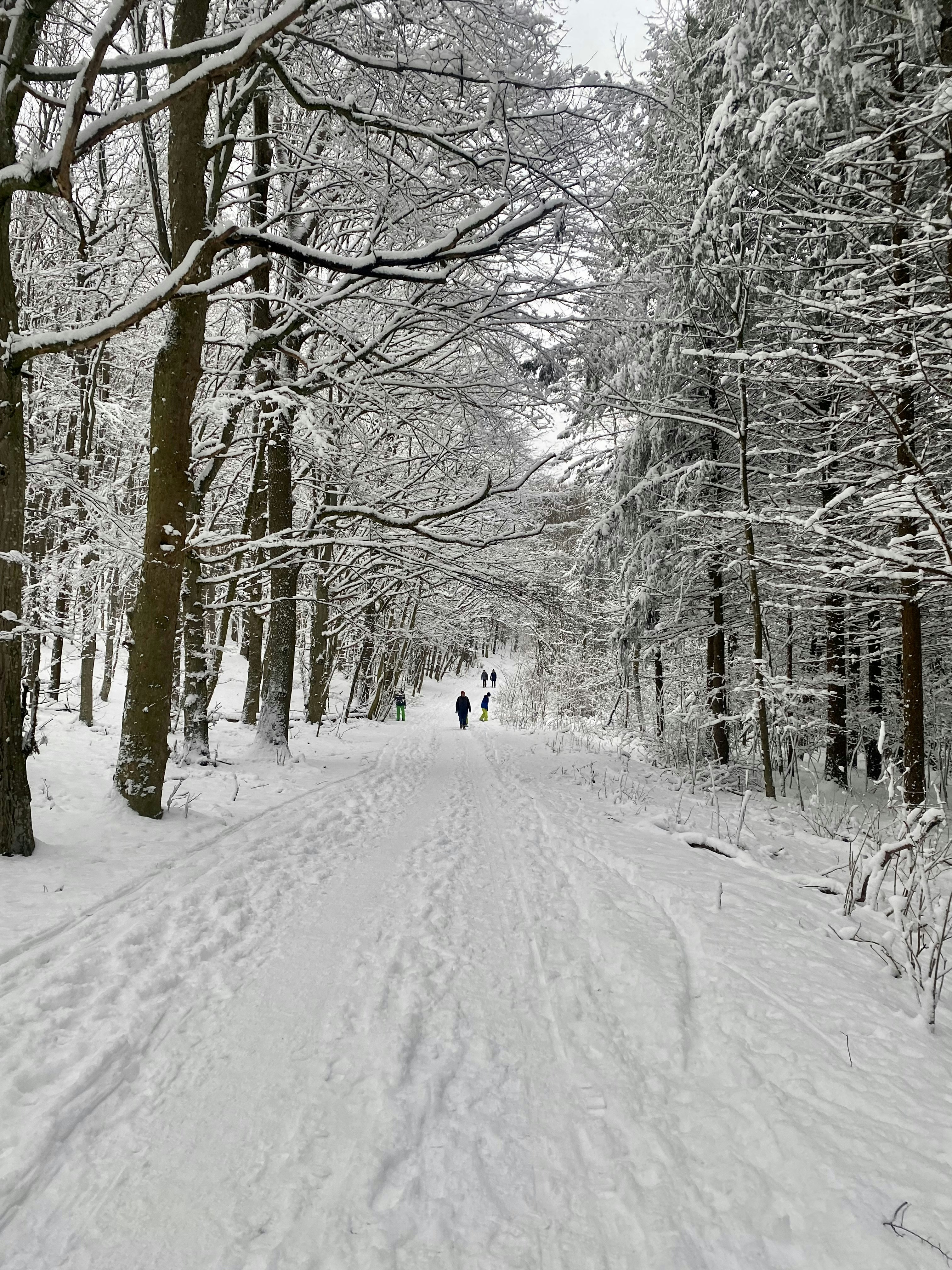 Ein paar Leute gehen eine schneebedeckte Straße entlang